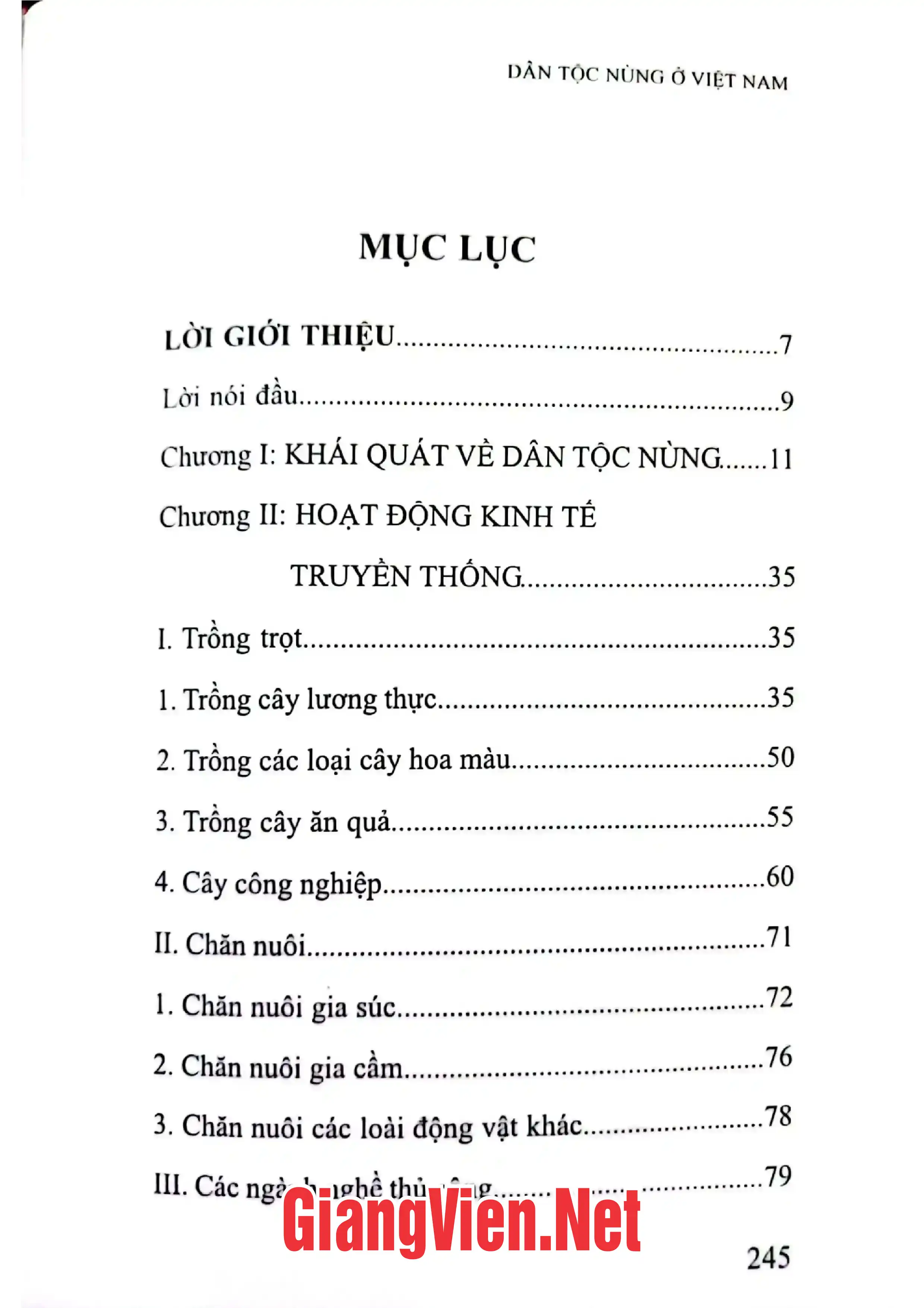 Trang bìa chính thức sách Dân tộc Nùng ở Việt Nam