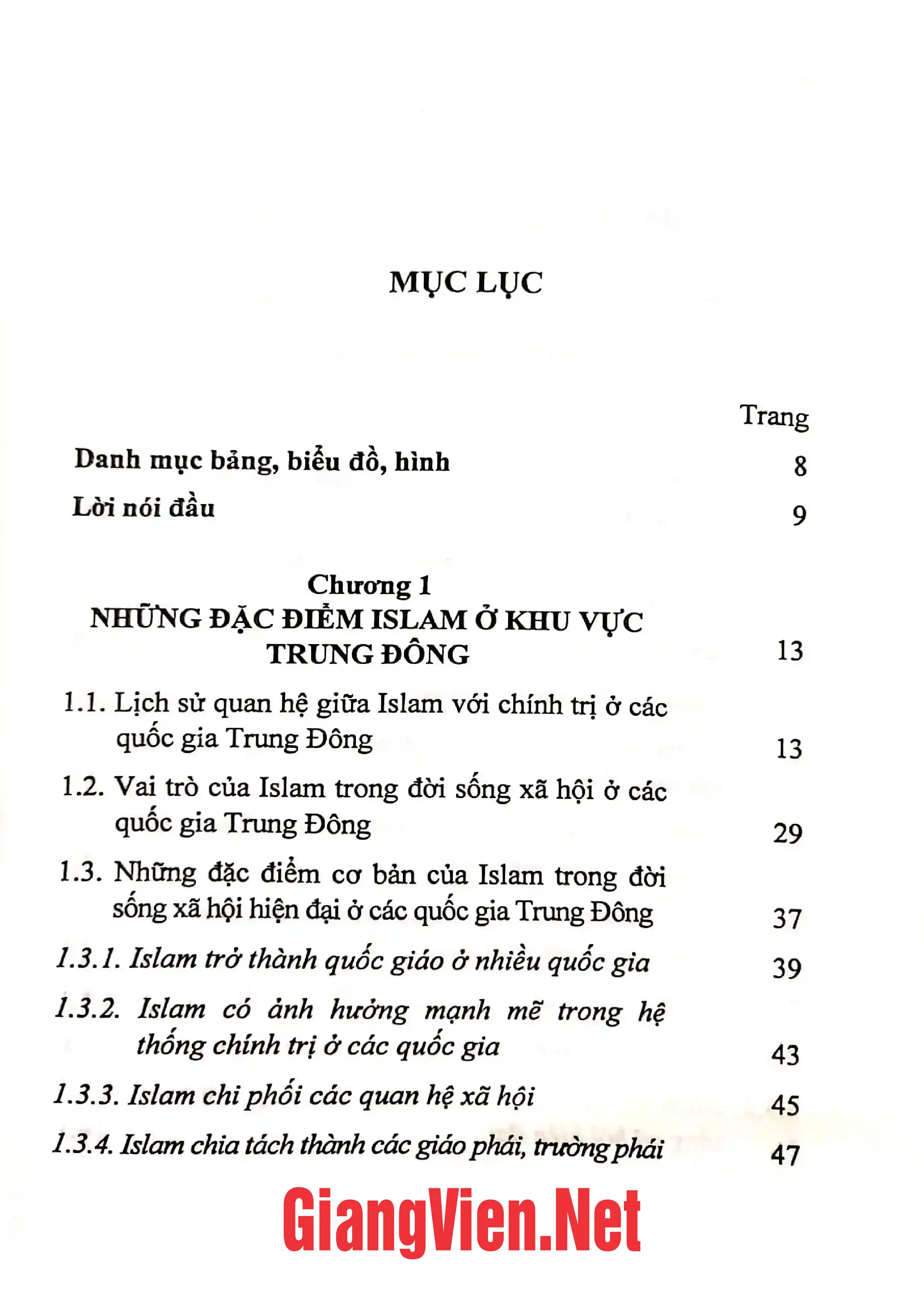 Ảnh minh họa nội dung cuốn sách: Islam với chính trị ở một số quốc gia Trung Đông