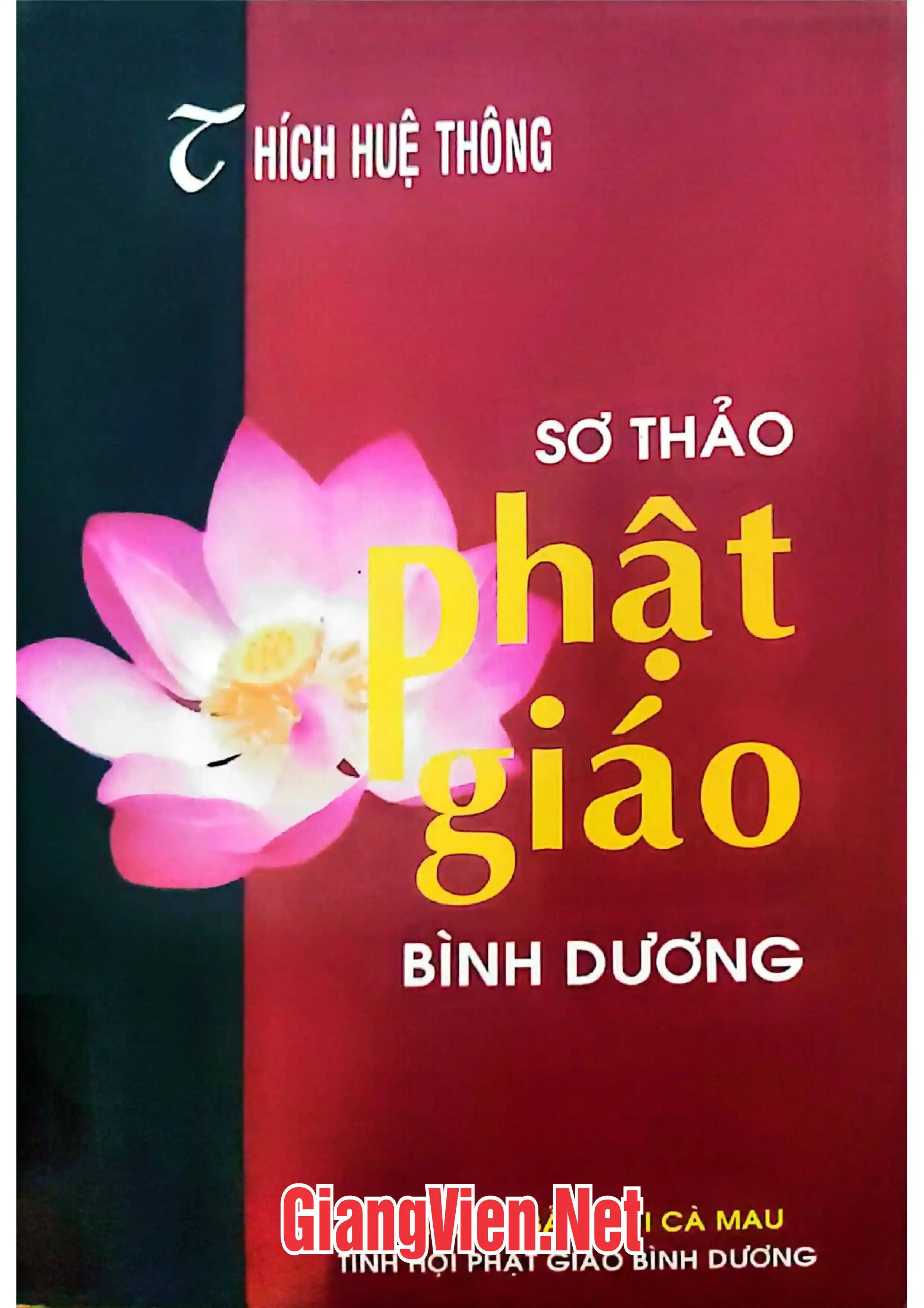 Ảnh bìa của Sơ thảo Phật giáo Bình Dương