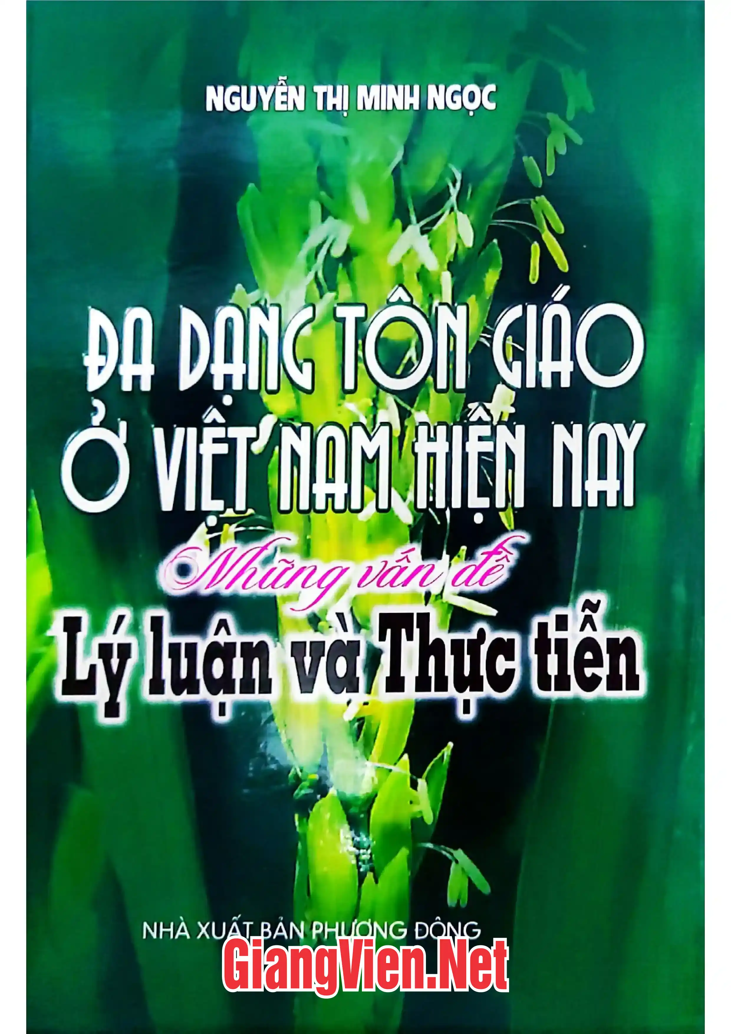 Ảnh bìa của Đa dạng tôn giáo ở Việt Nam hiện nay những vấn đề lý luận và thực tiễn