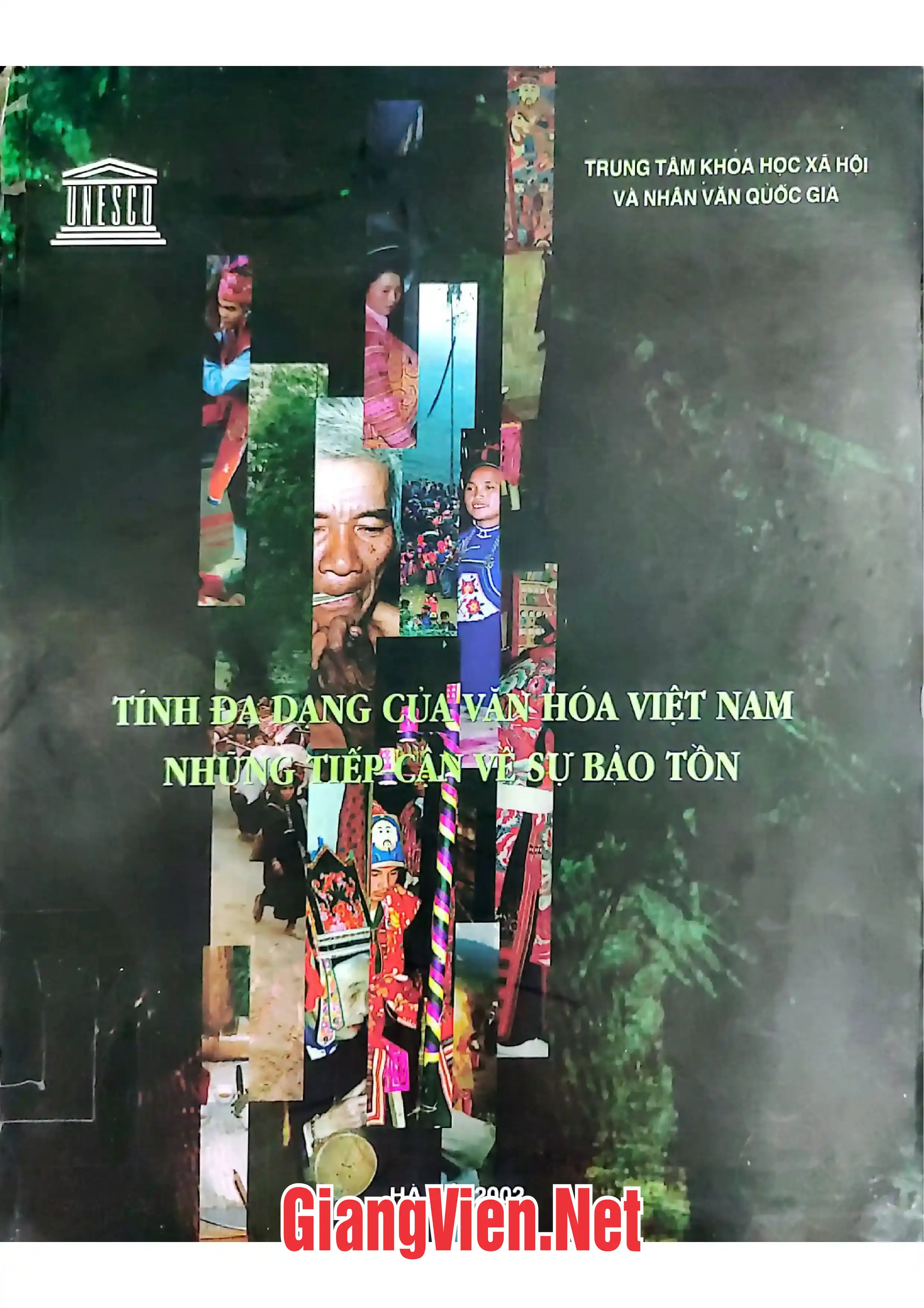 Ảnh bìa của Tính đa dạng văn hoá của Việt Nam những tiếp cận về sự bảo tồn
