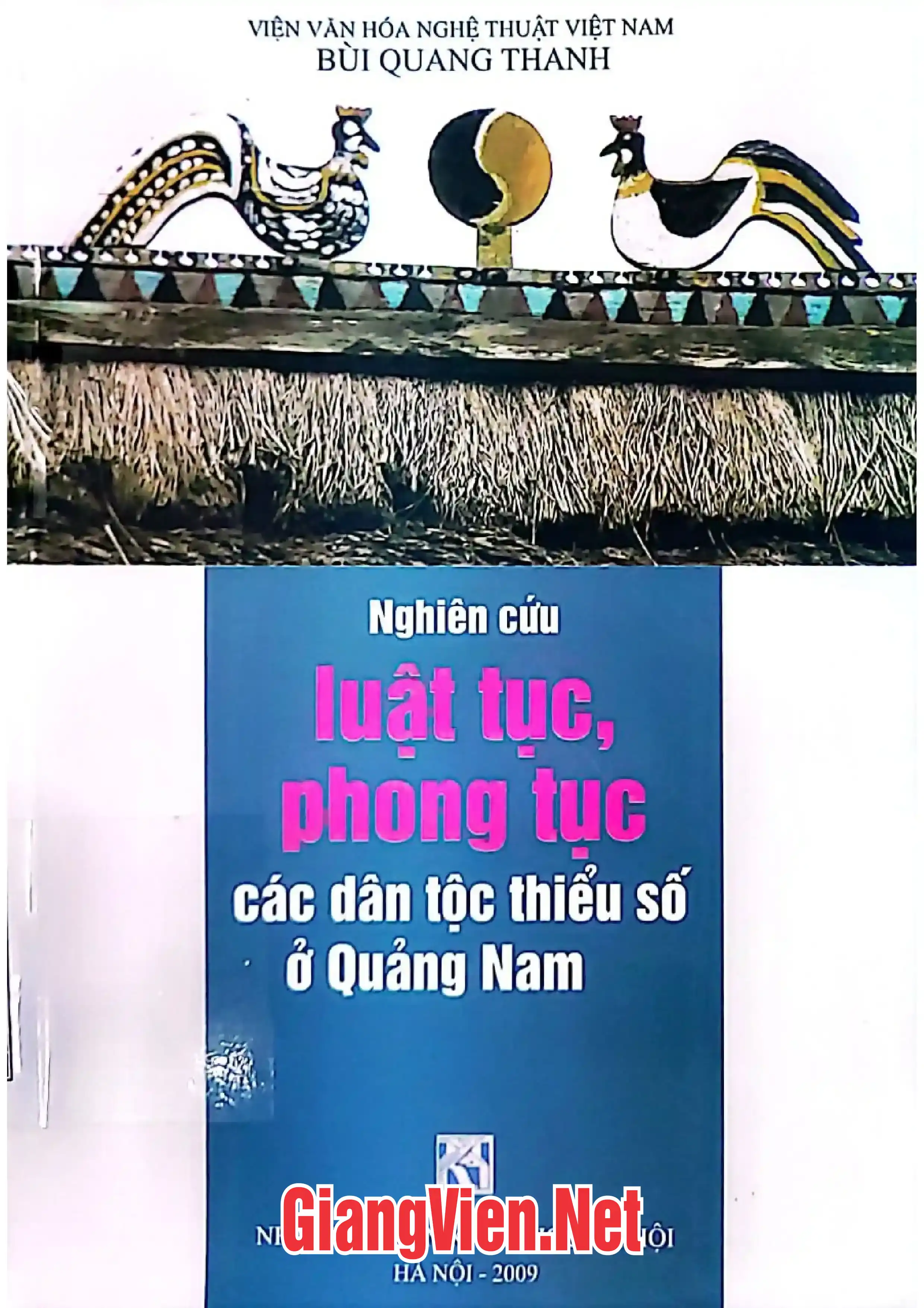 Ảnh bìa của Nghiên cứu luật tục, phong tục các dân tộc thiểu số ở Quảng Nam