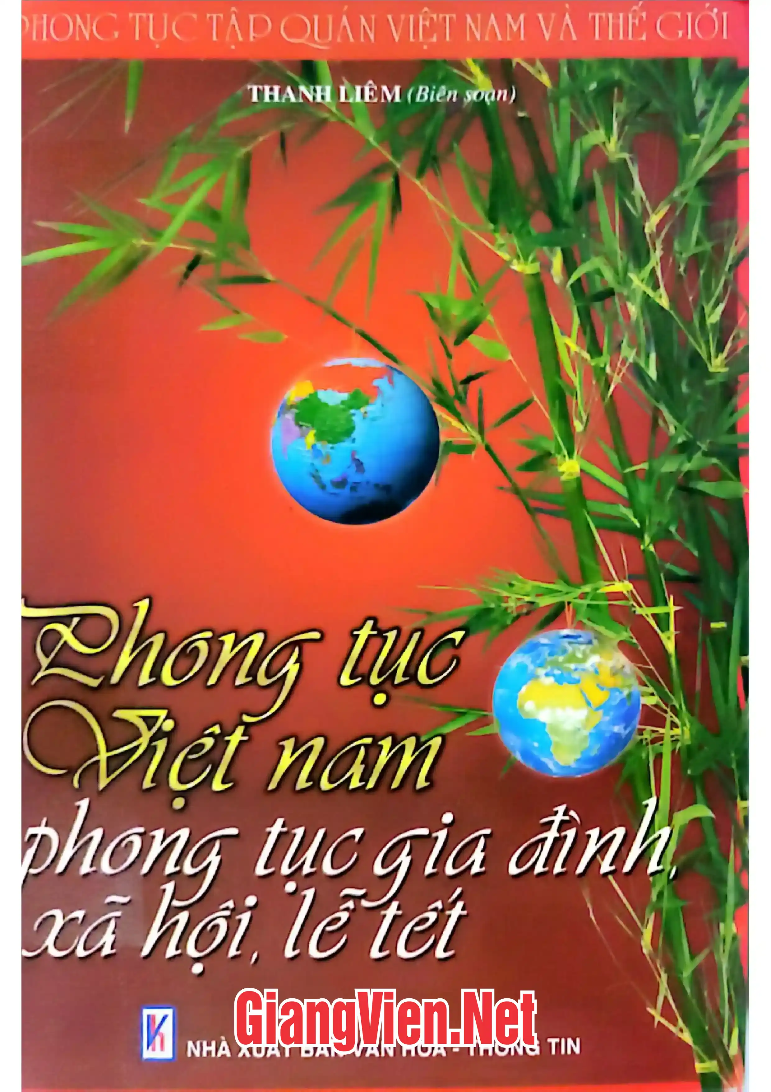 Ảnh bìa của Phong tục Việt Nam: Phong tục gia đình xã hội, lễ tết