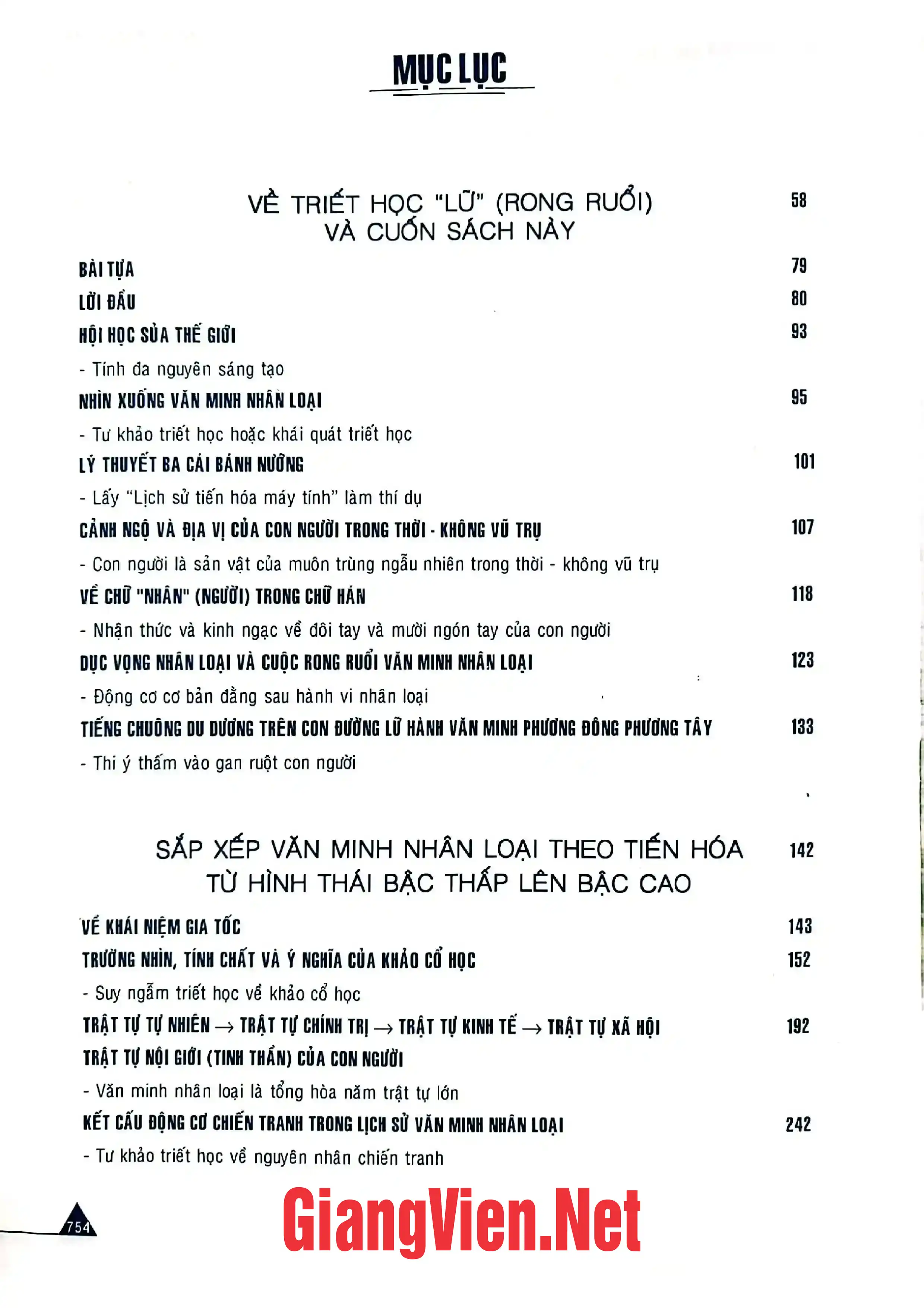 Trang bìa chính thức sách Theo dòng văn minh nhân loại, Tư khảo triết học về bước tiến và diễn hoá văn minh nhân loại