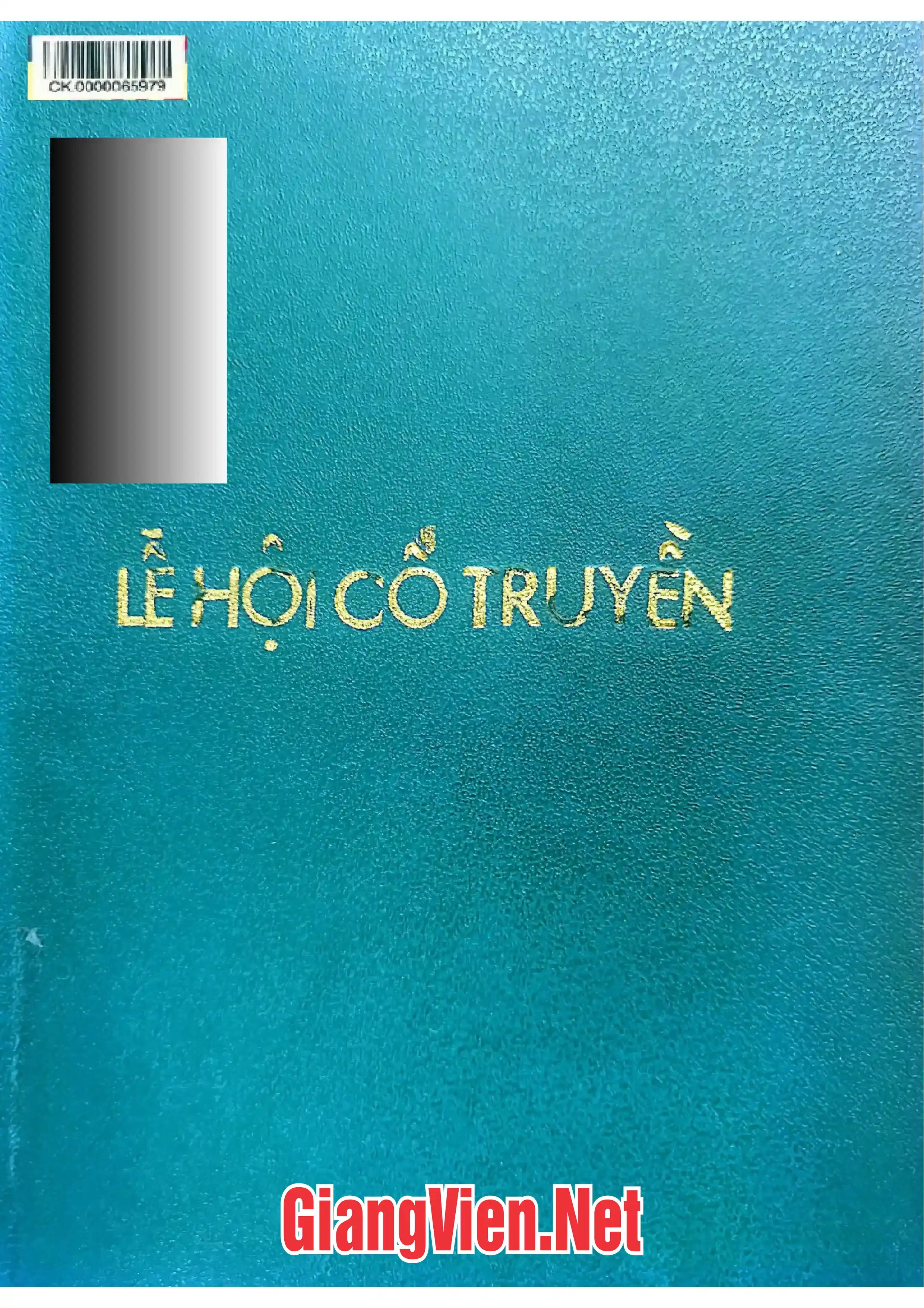 Ảnh bìa của Lễ hội cổ truyền