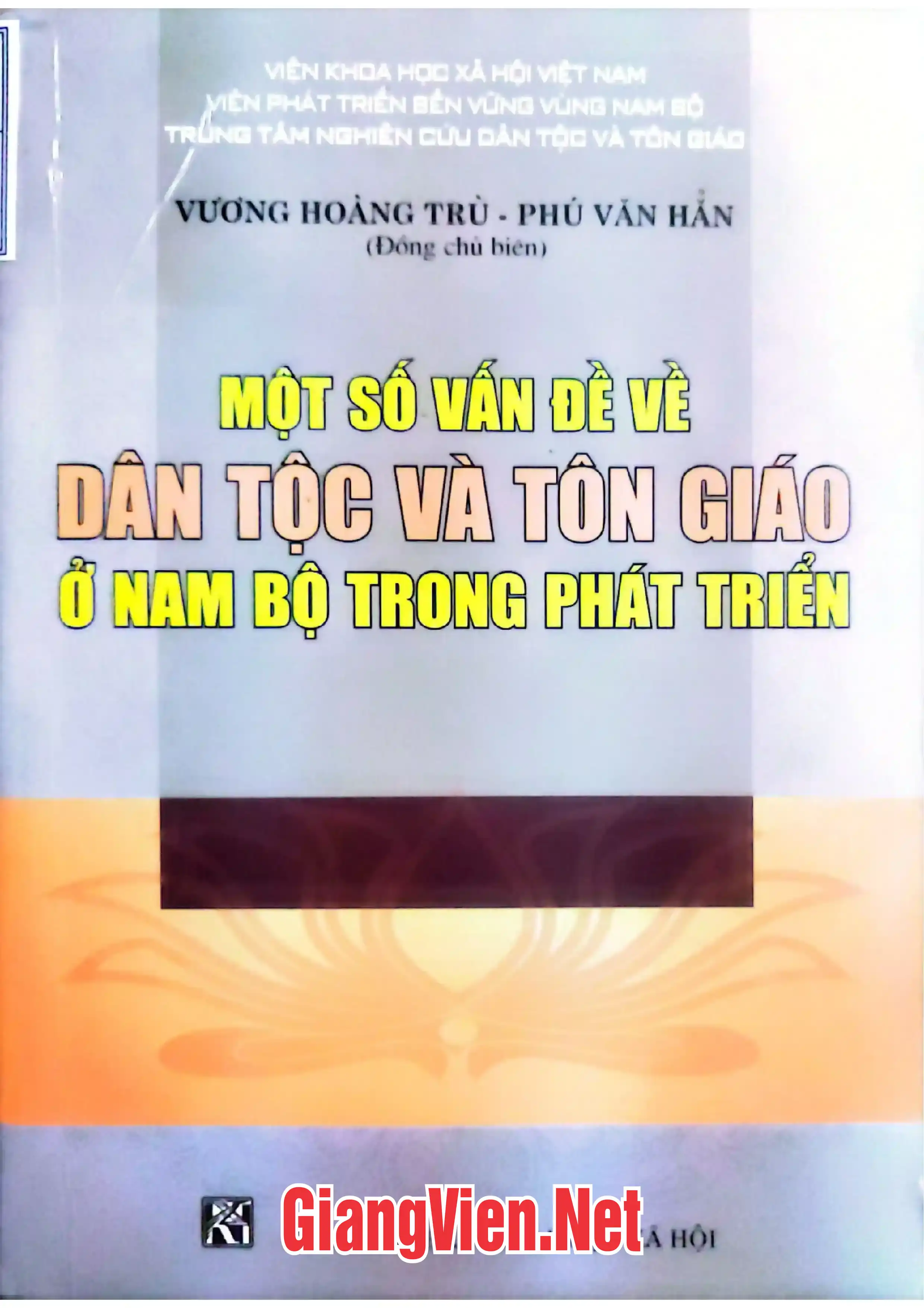 Ảnh bìa của Một số vấn đề về dân tộc và tôn giáo ở Nam Bộ trong phát triển