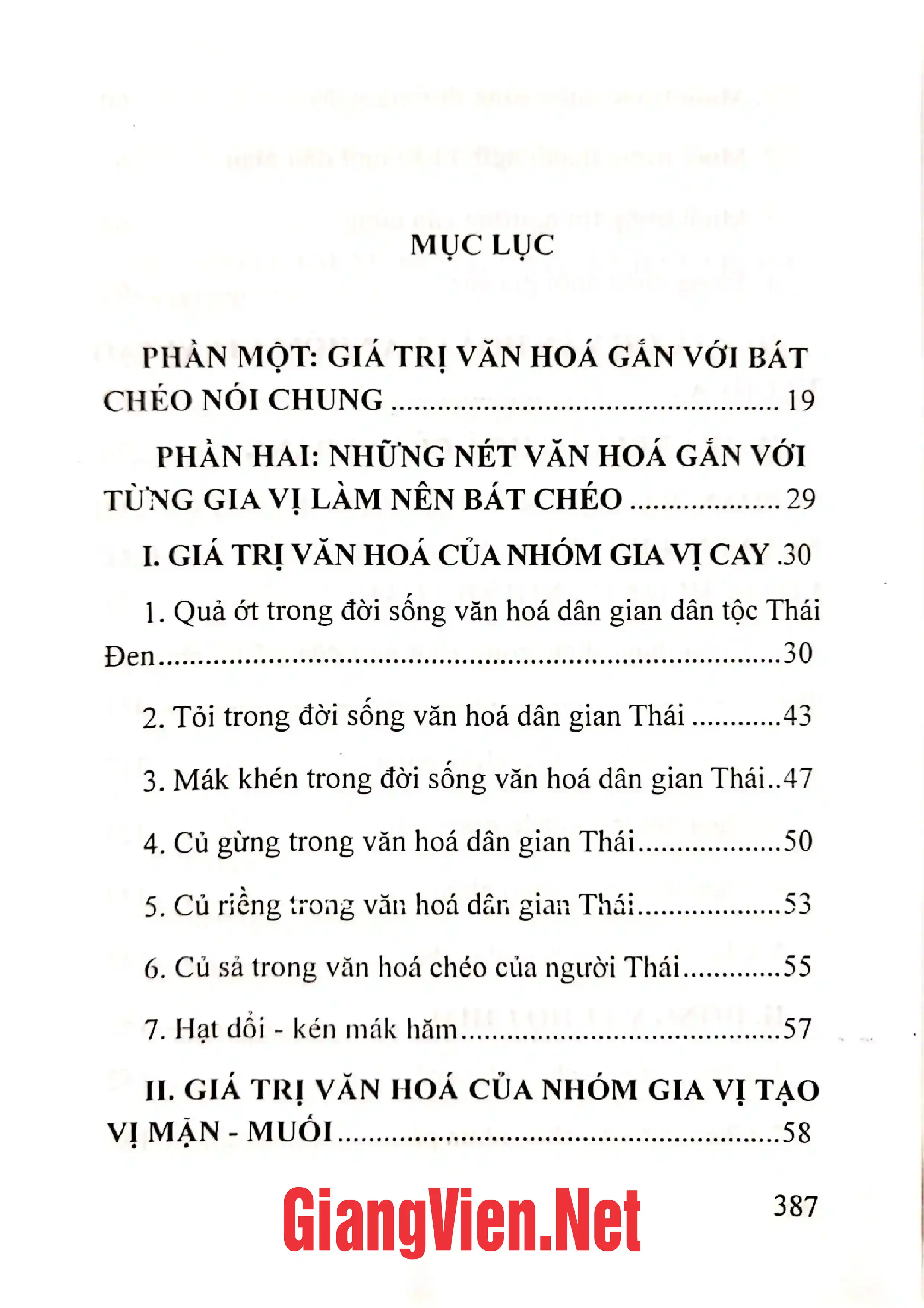 Trang bìa chính thức sách Văn hóa chéo của người Thái Đen ở Mường Thanh Tỉnh Điện Biên