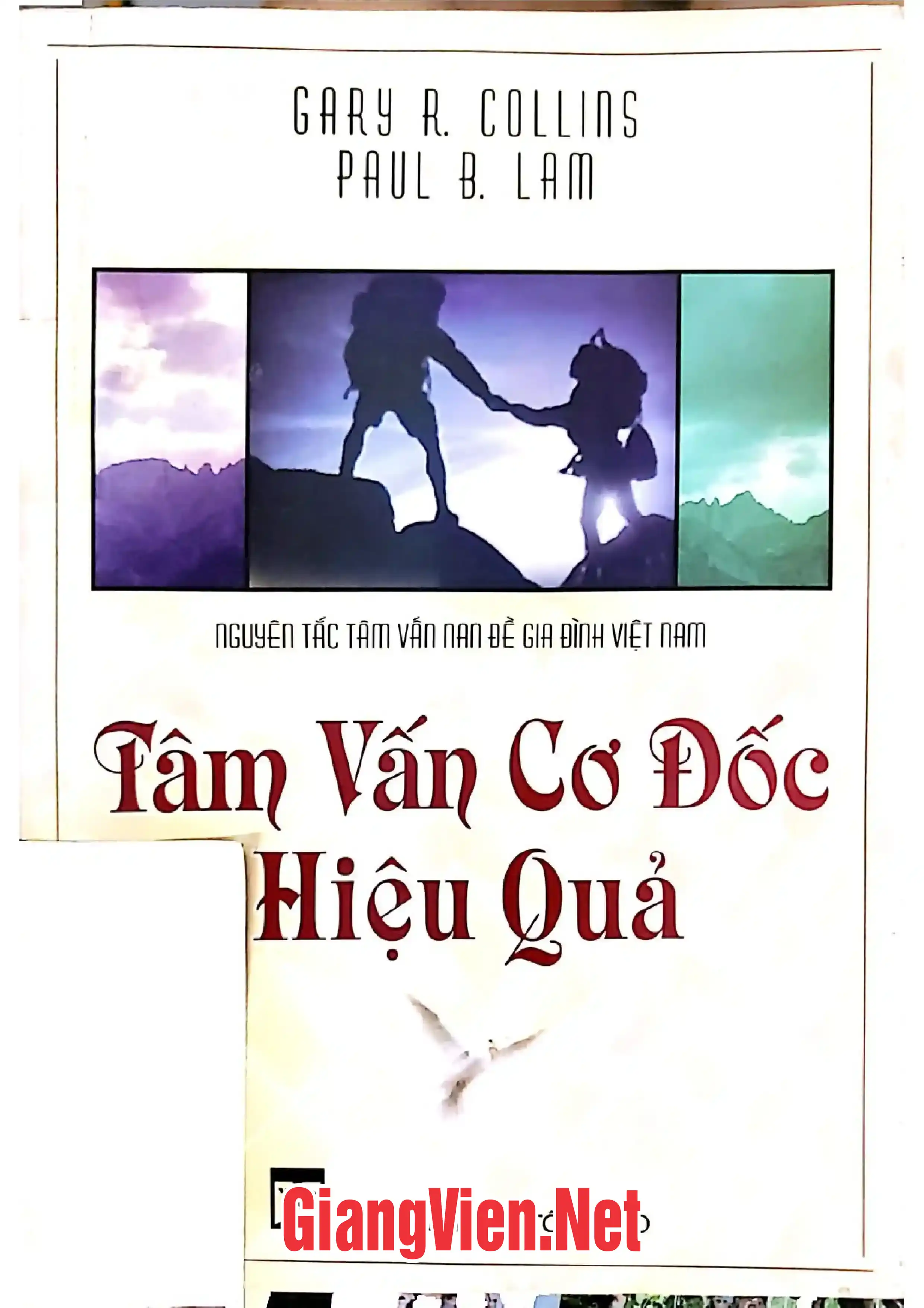 Ảnh bìa của Tâm vấn Cơ Đốc hiệu quả