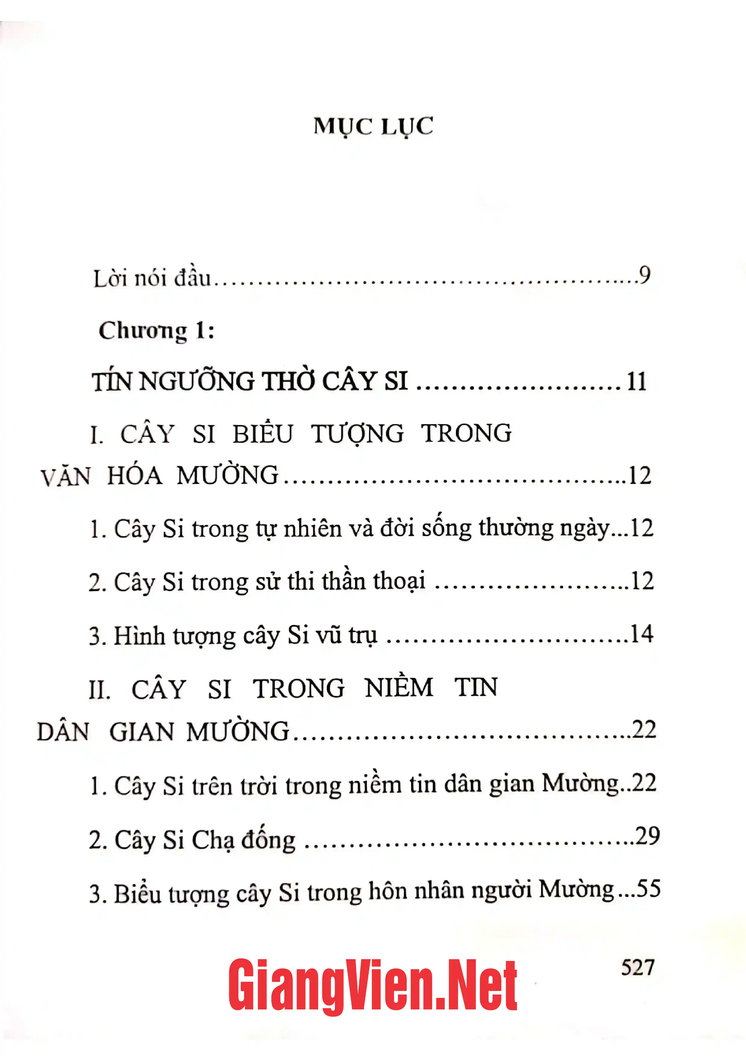 Trang bìa chính thức sách Tục thờ cây Si