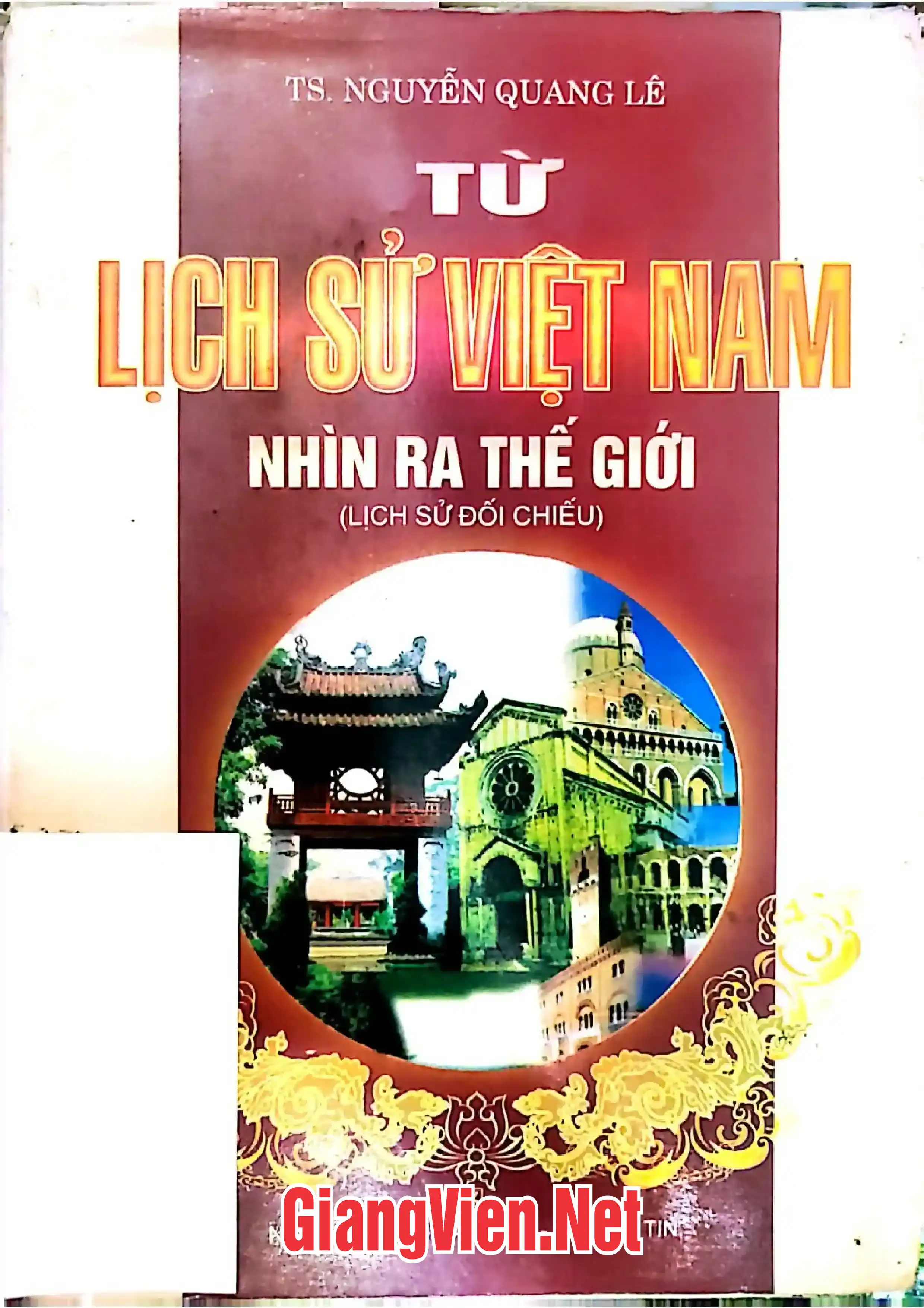 Ảnh bìa của Lịch sử Việt Nam nhìn ra thế giới