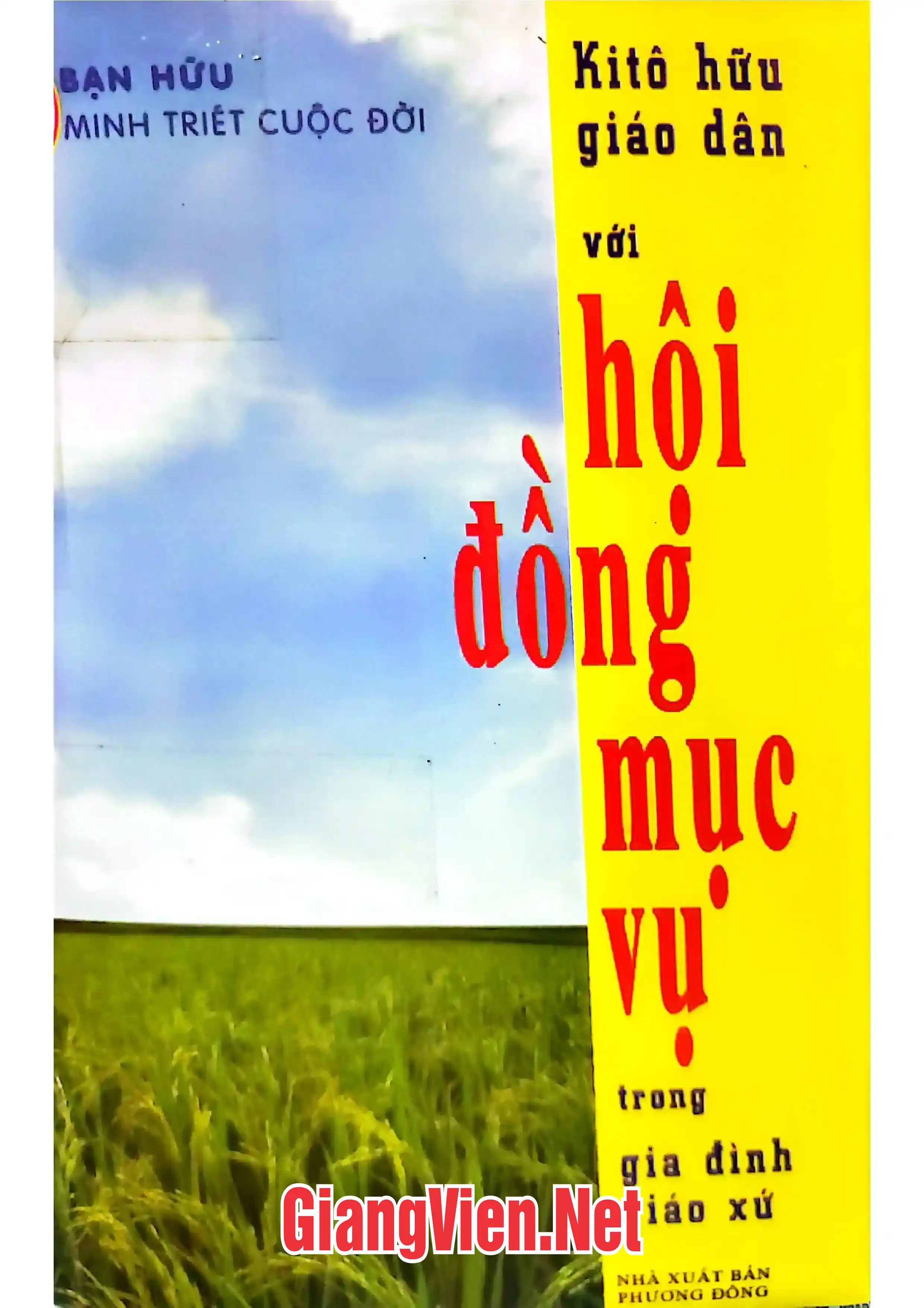 Ảnh bìa của Kitô hữu giáo dân với hội đồng mục vụ trong gia đình giáo xứ
