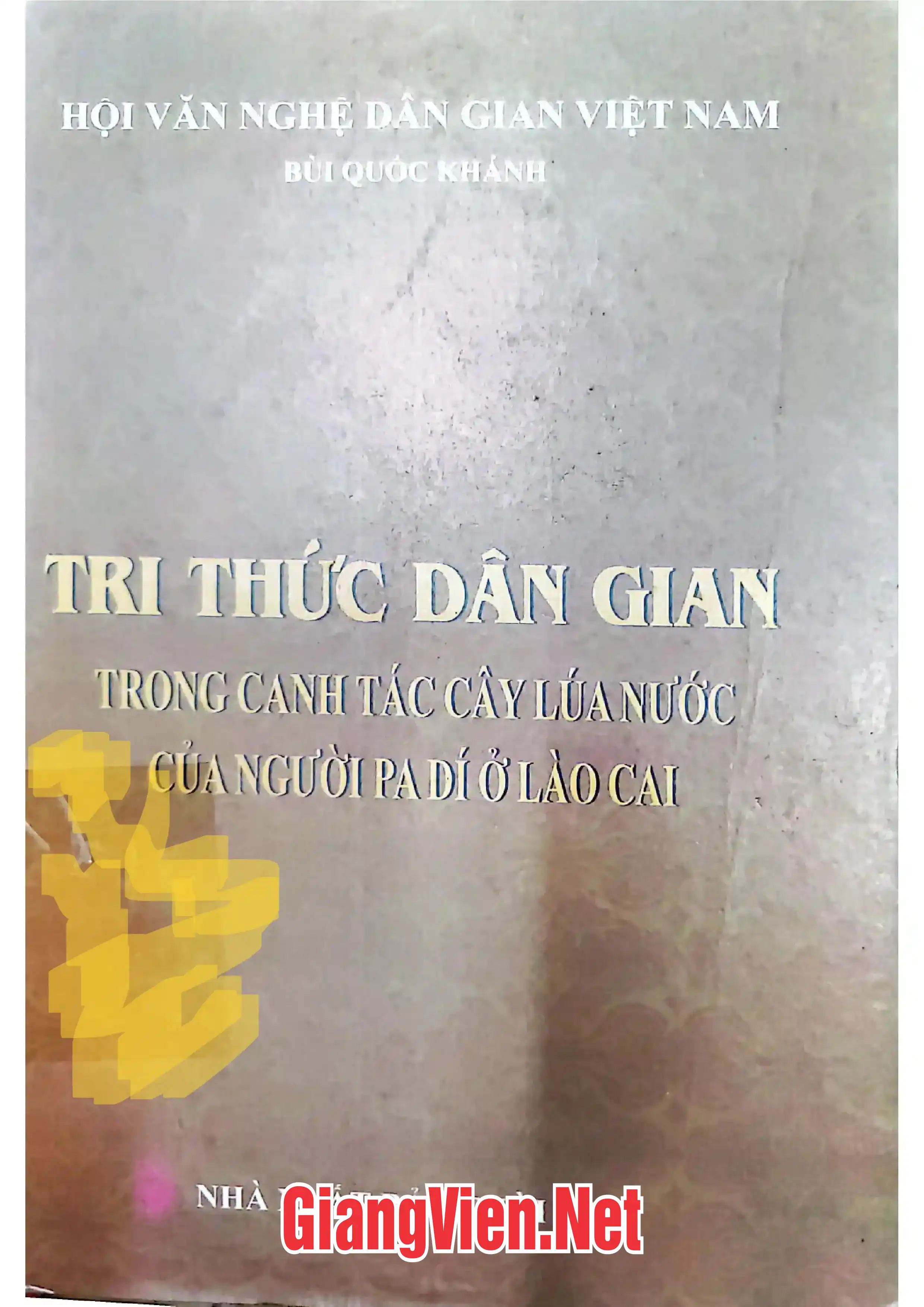 Ảnh bìa của Tri thức dân gian trong canh tác cây lúa nước của người Pa Dí ở Lào Cai