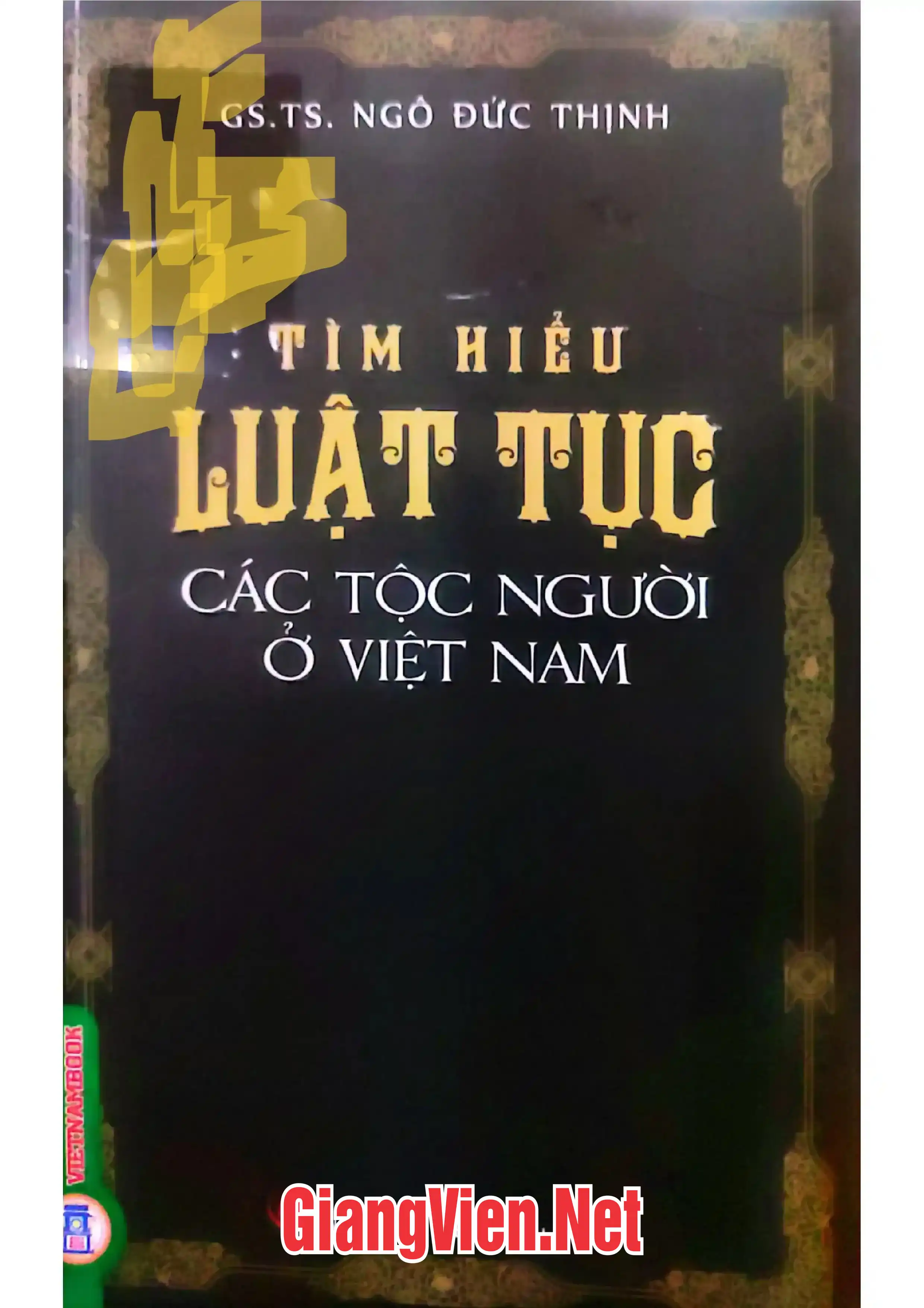 Ảnh bìa của Tìm hiểu luật tục các tộc người Việt Nam