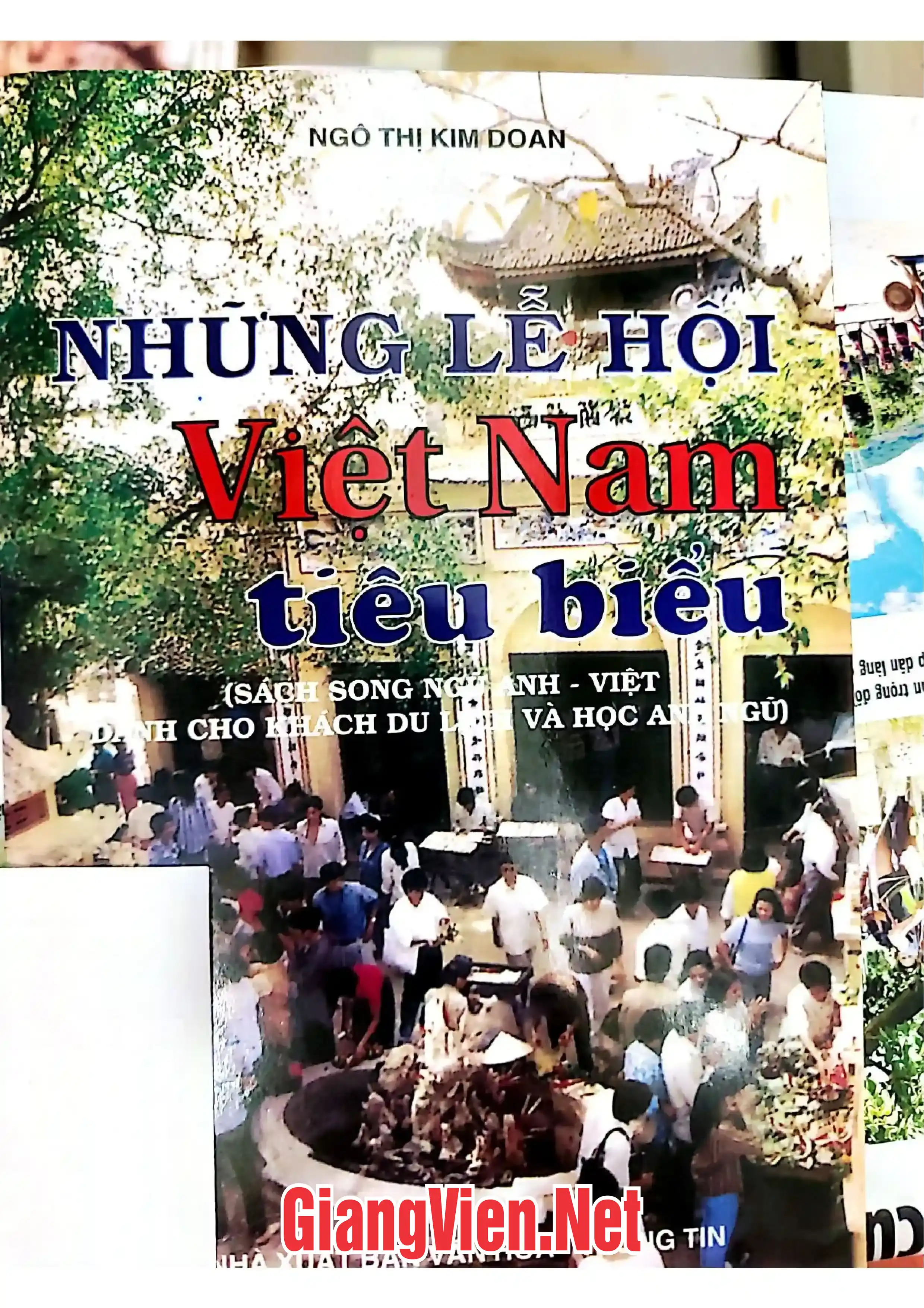 Ảnh bìa của Những lễ hội Việt Nam tiêu biểu