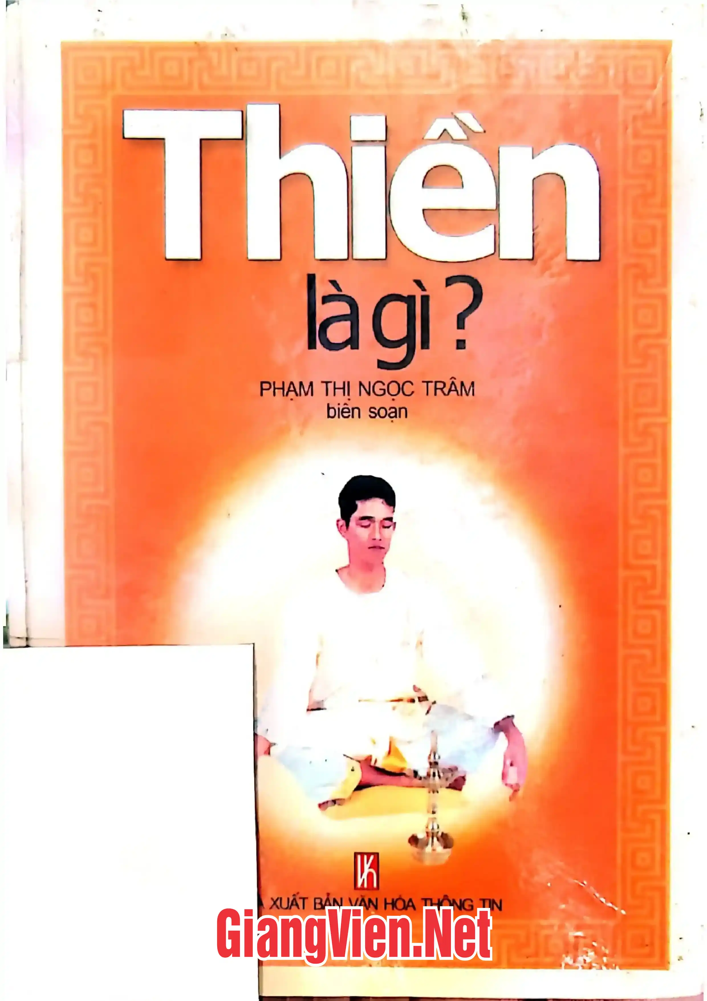 Ảnh bìa của Thiền là gì?