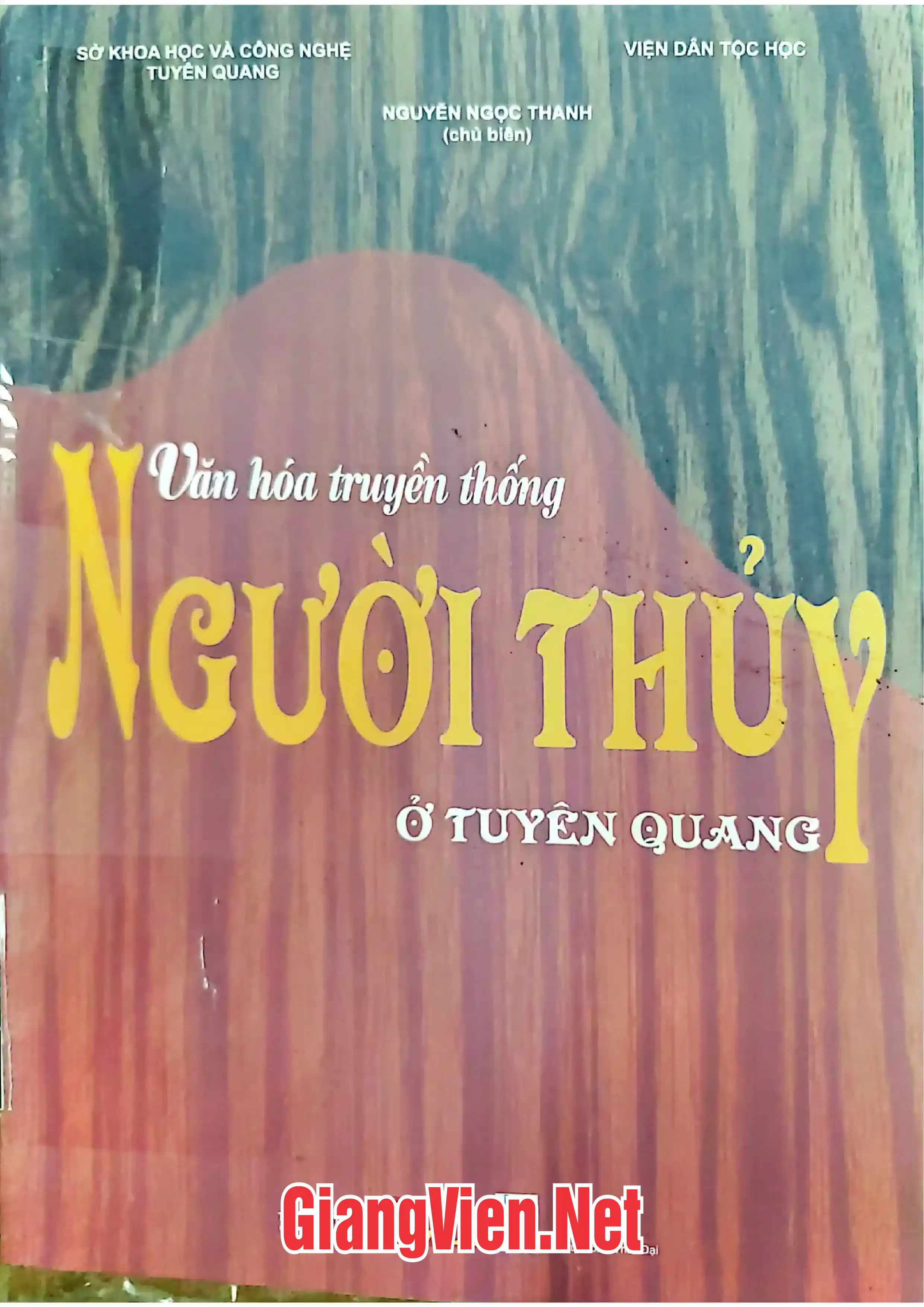 Ảnh bìa của Văn hóa truyền thống người Thủy ở Tuyên Quang