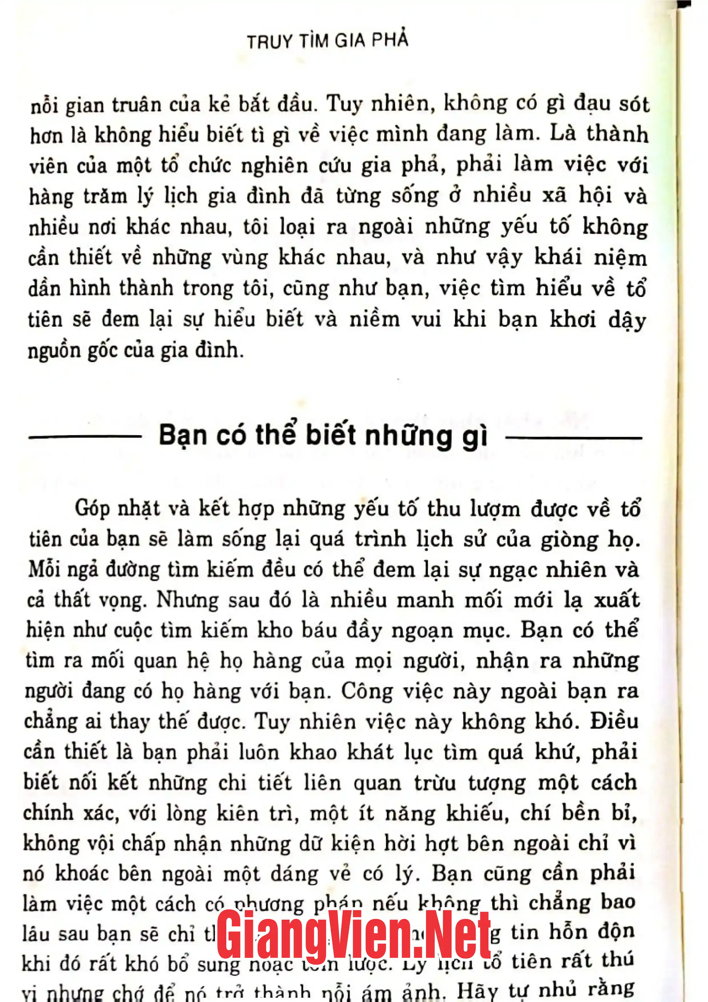 Ảnh minh họa nội dung cuốn sách: Truy tìm gia phả