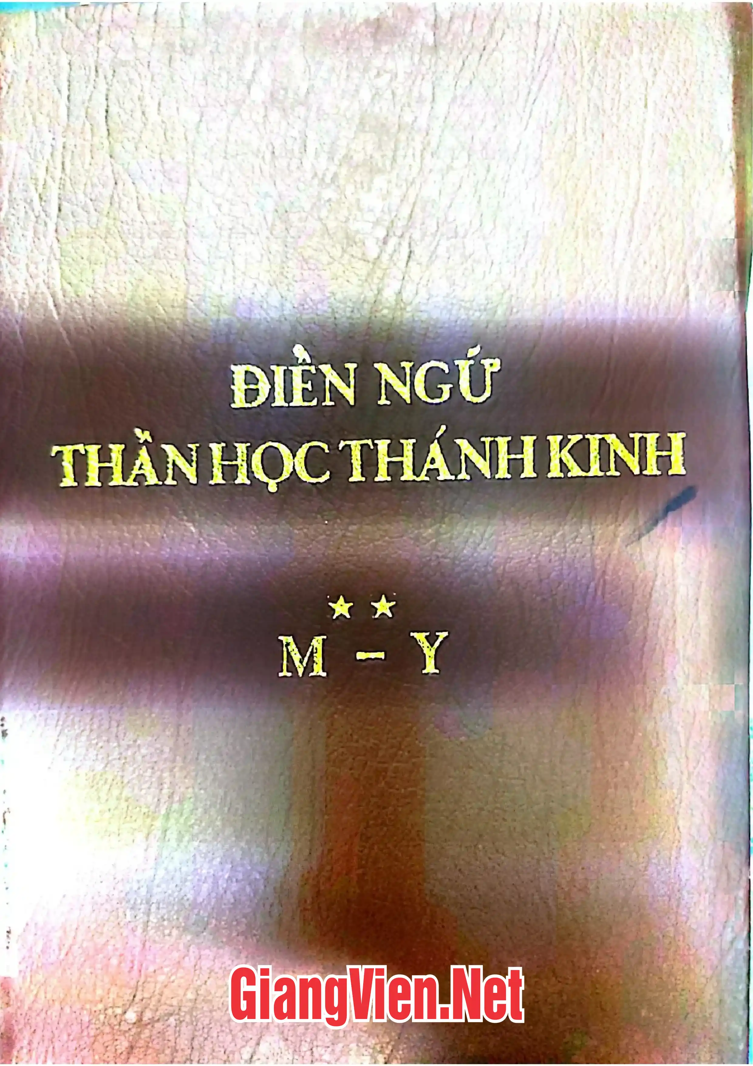 Ảnh bìa của Điển ngữ thần học thánh kinh