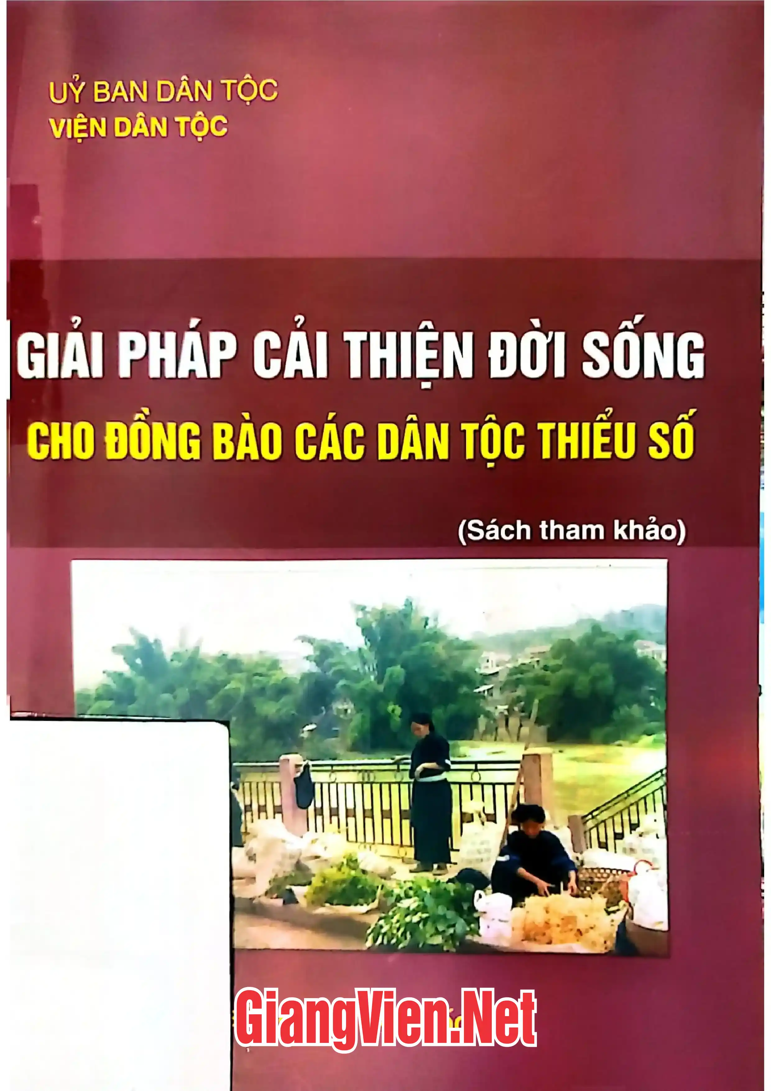 Ảnh bìa của Giải pháp cải thiện đời sống cho đồng bào các dân tộc thiểu số