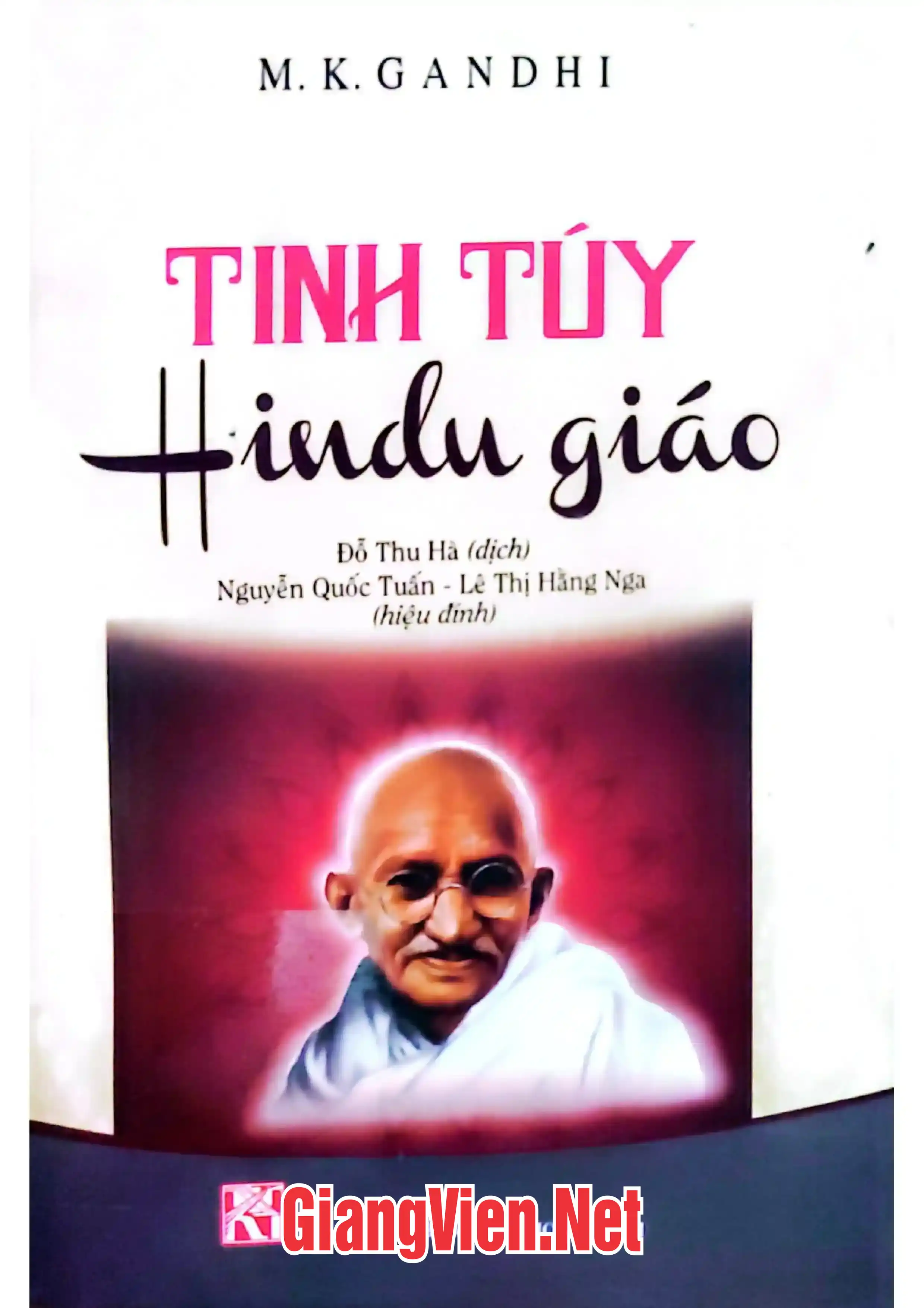 Ảnh bìa của Tinh túy Hindu giáo