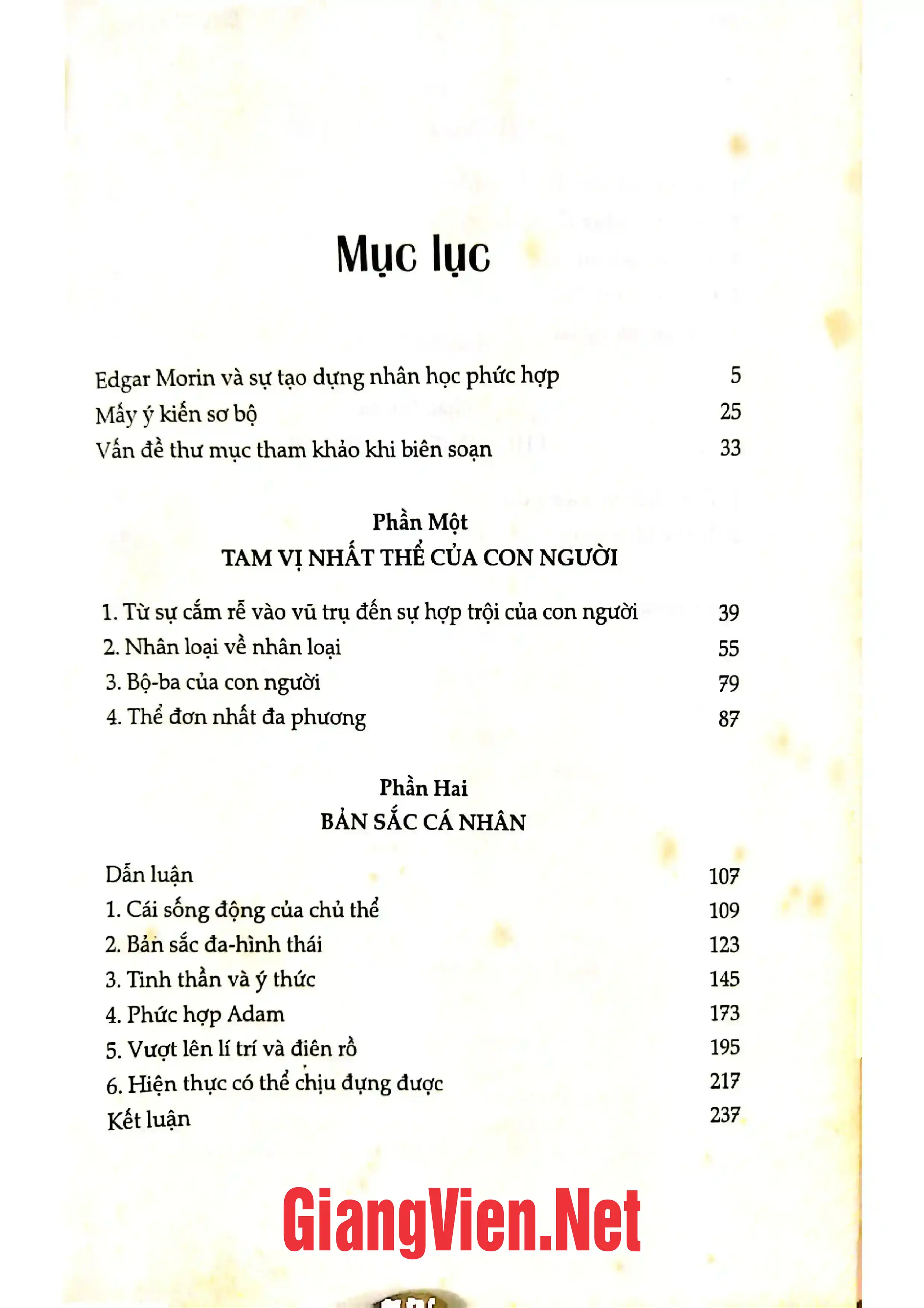 Trang bìa chính thức sách Phương pháp 5: Nhân loại về nhân loại bản sắc nhân loại