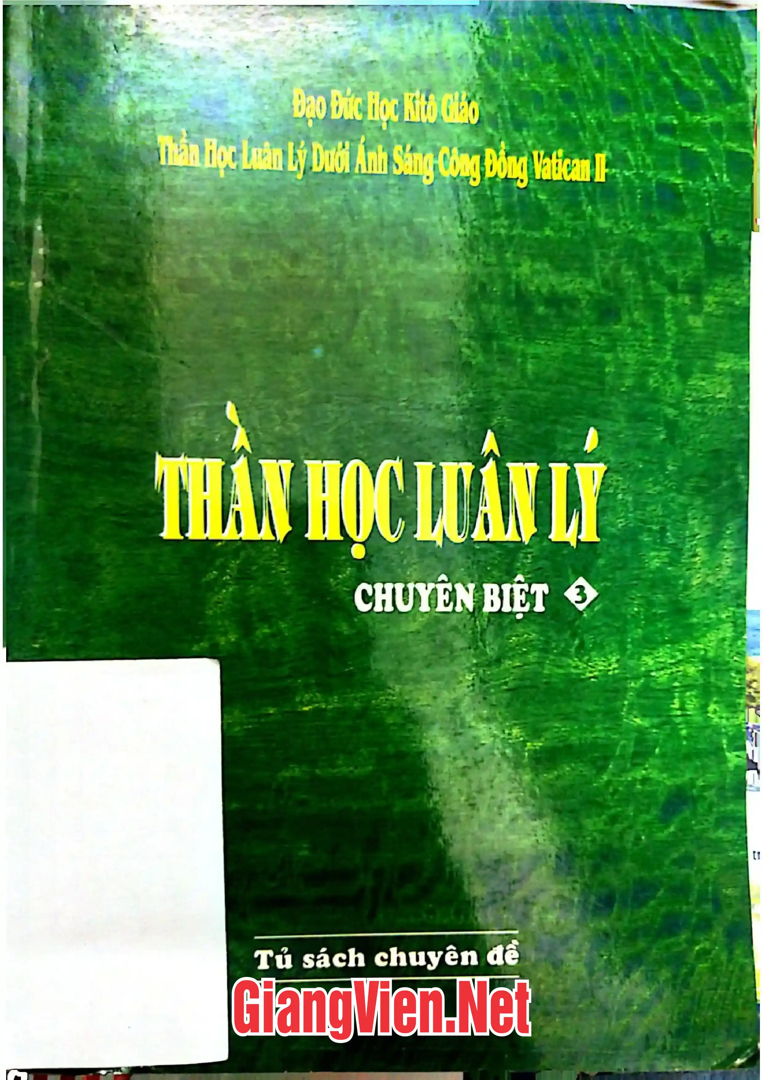 Ảnh bìa của Thần học luân lý chuyên biệt, Tập III