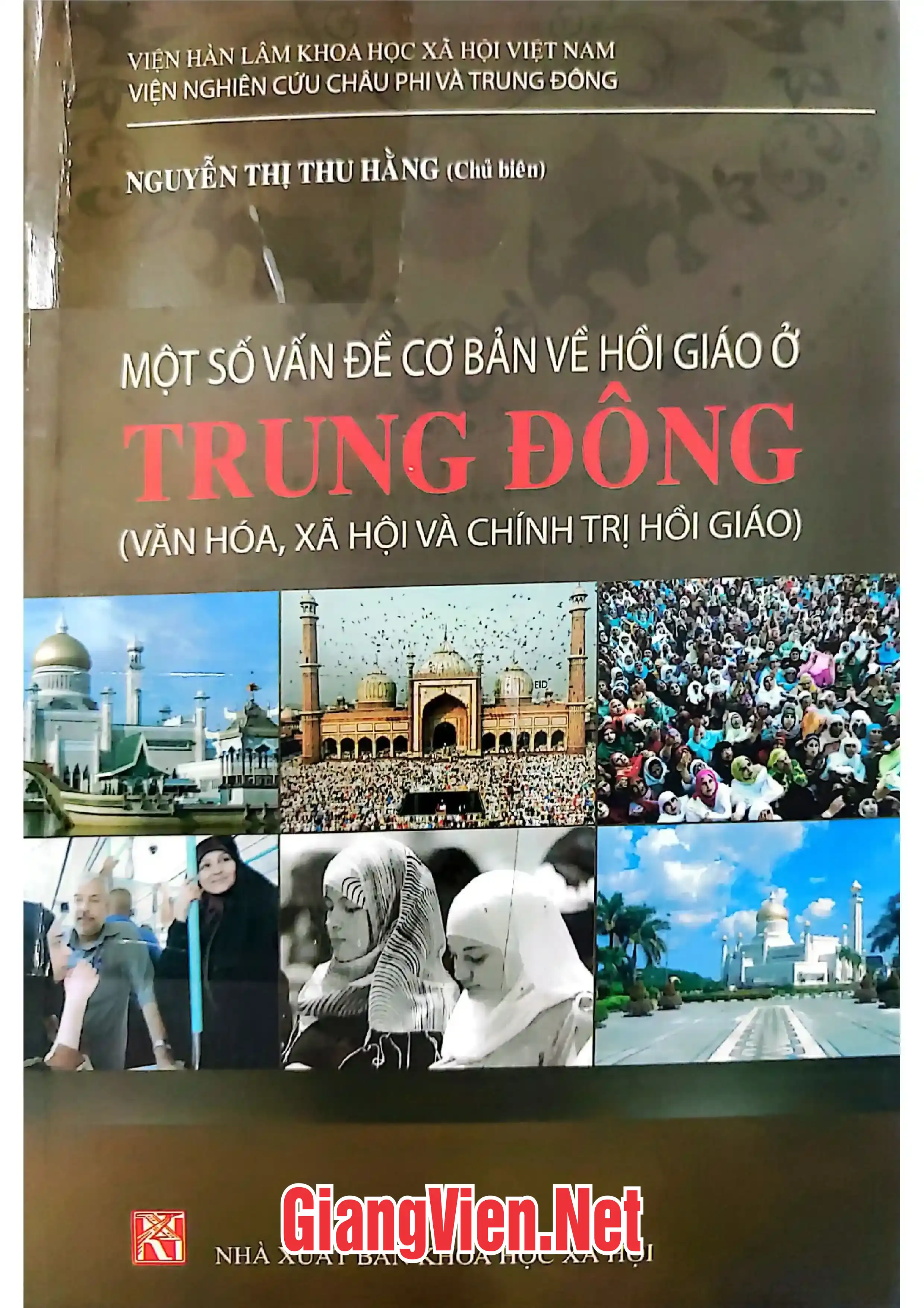 Ảnh bìa của Một số vấn đề cơ bản về Hồi giáo ở Trung Đông Văn hóa, xã hội và chính trị Hồi giáo