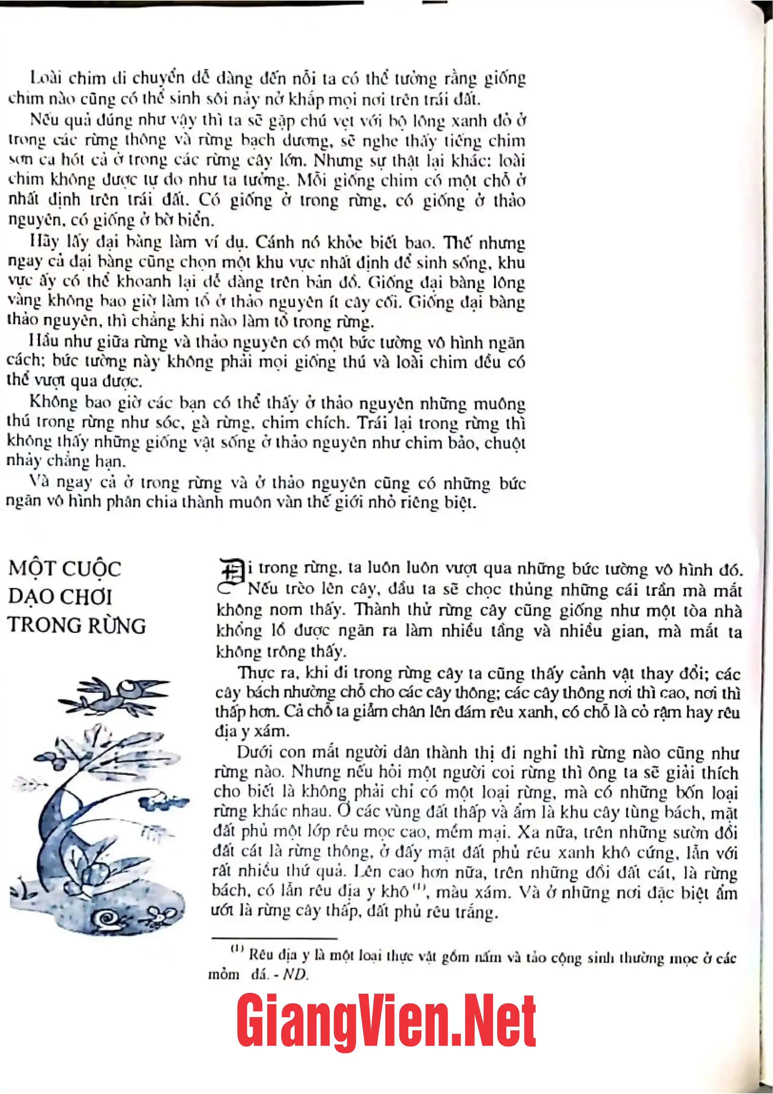 Nội dung mục lục và hình ảnh sách Lịch sử loài người: con người trở thành khổng lồ - Trang 5