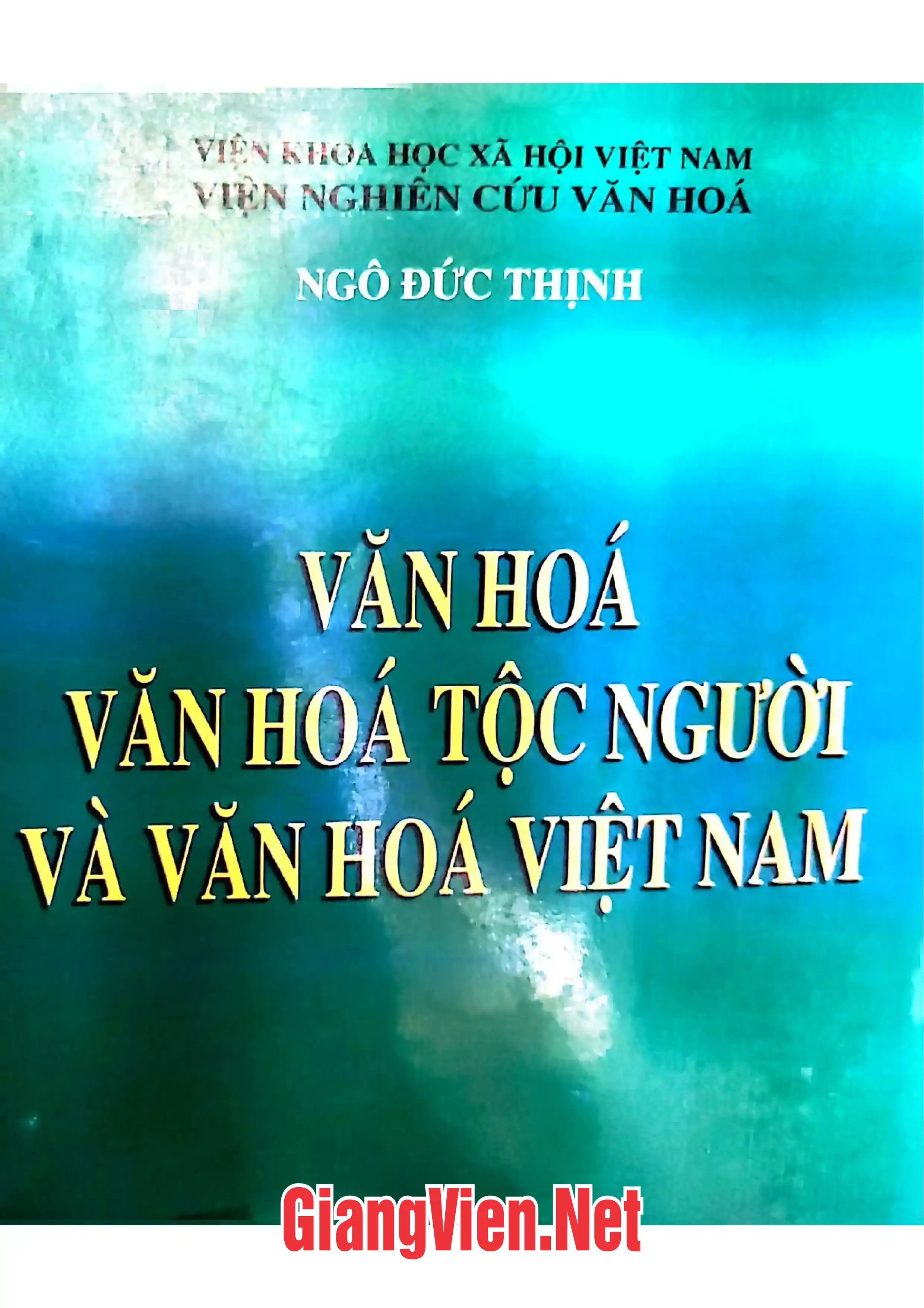 Ảnh bìa của Văn hóa tộc người và văn hóa Việt Nam