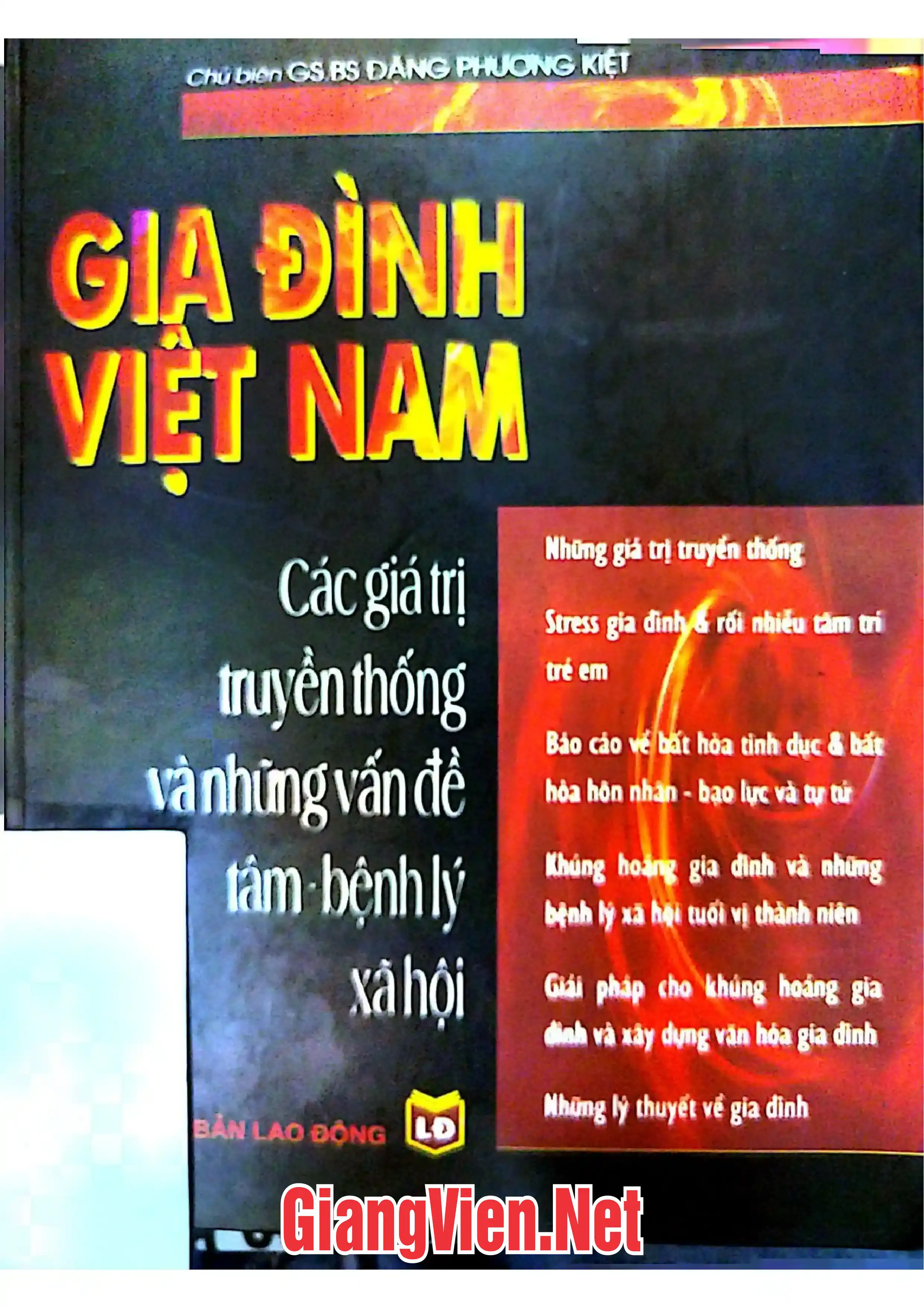 Ảnh bìa của Gia đình Việt Nam