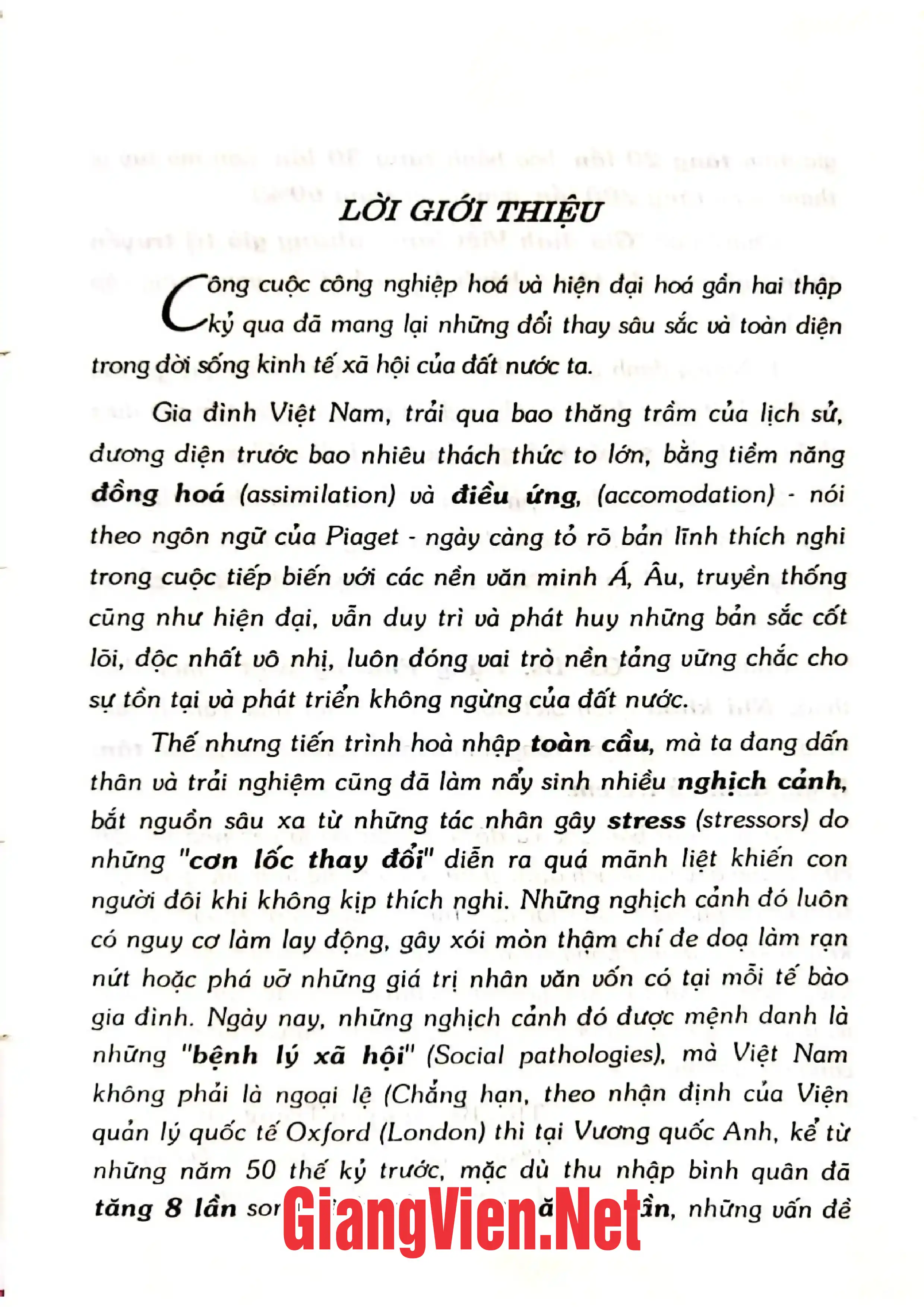 Ảnh minh họa nội dung cuốn sách: Gia đình Việt Nam