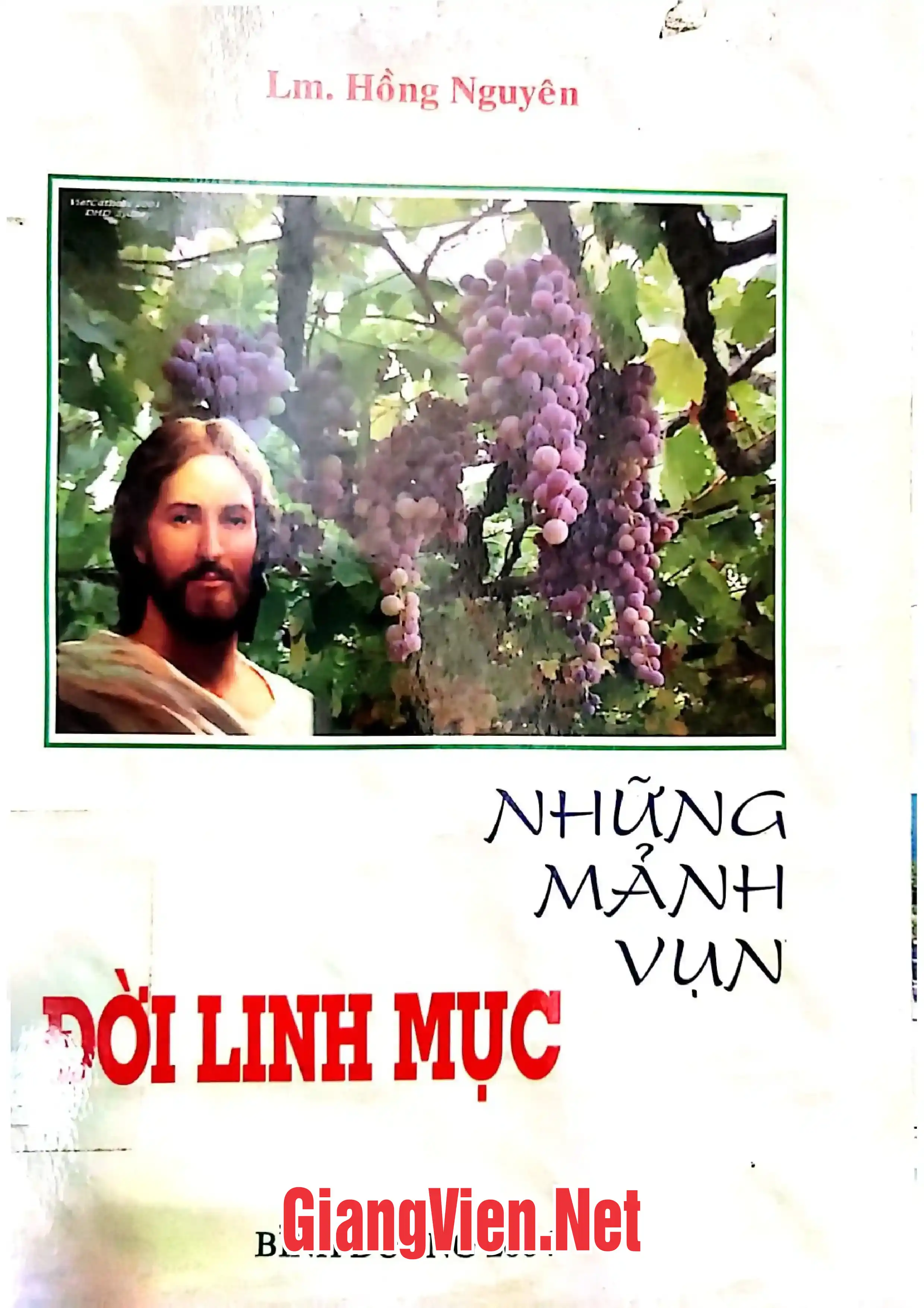 Ảnh bìa của Những mảnh vụn đời linh mục