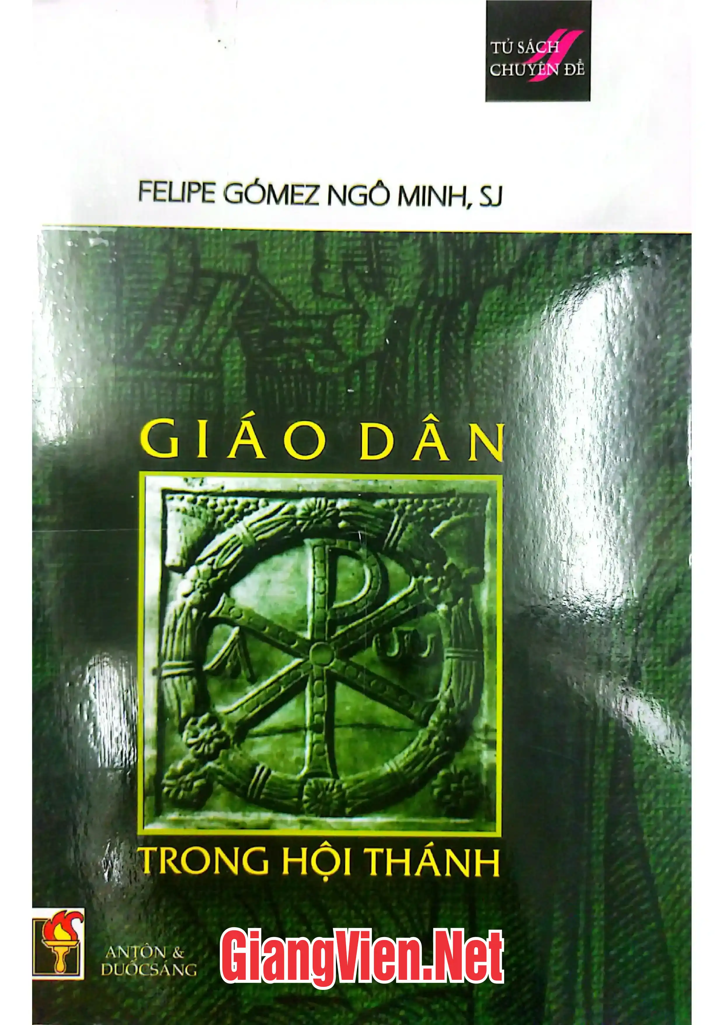 Ảnh bìa của Giáo dân trong Hội Thánh