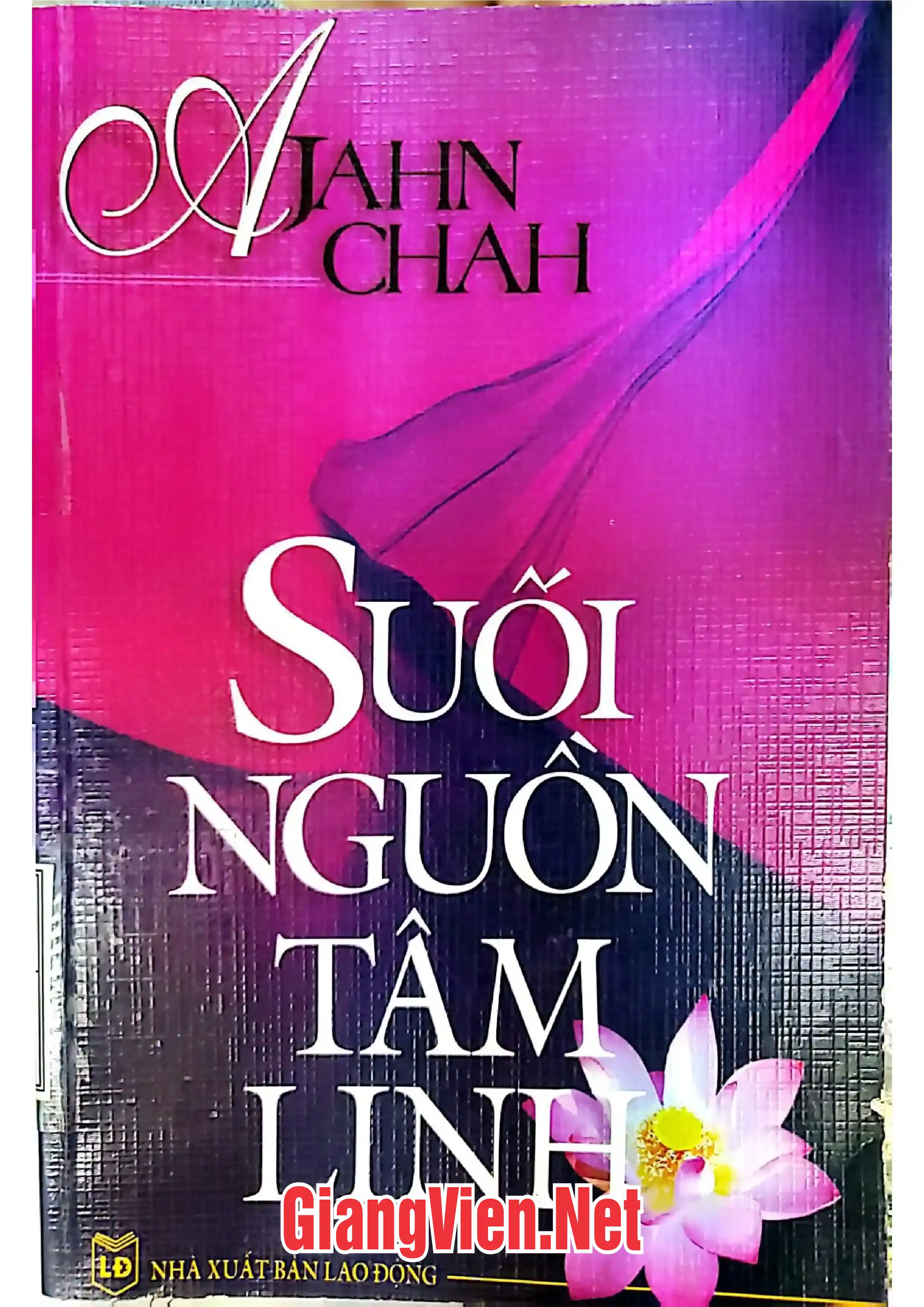 Ảnh bìa của Suối nguồn tâm linh