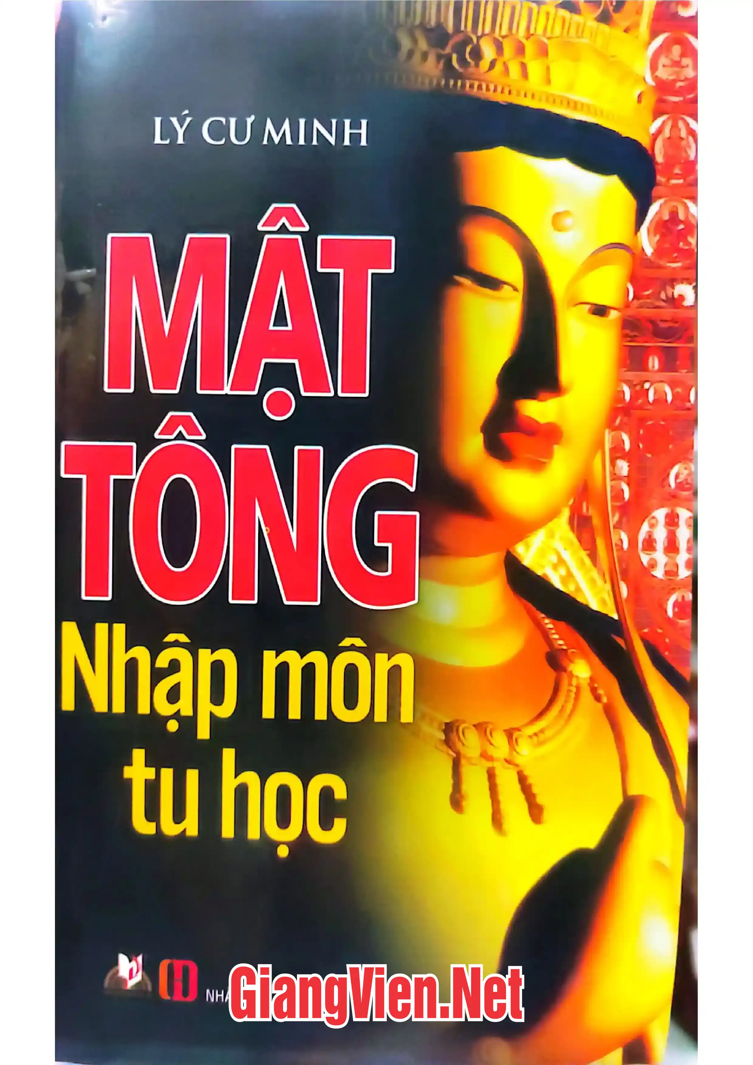 Ảnh bìa của Mật tông nhập môn tu học