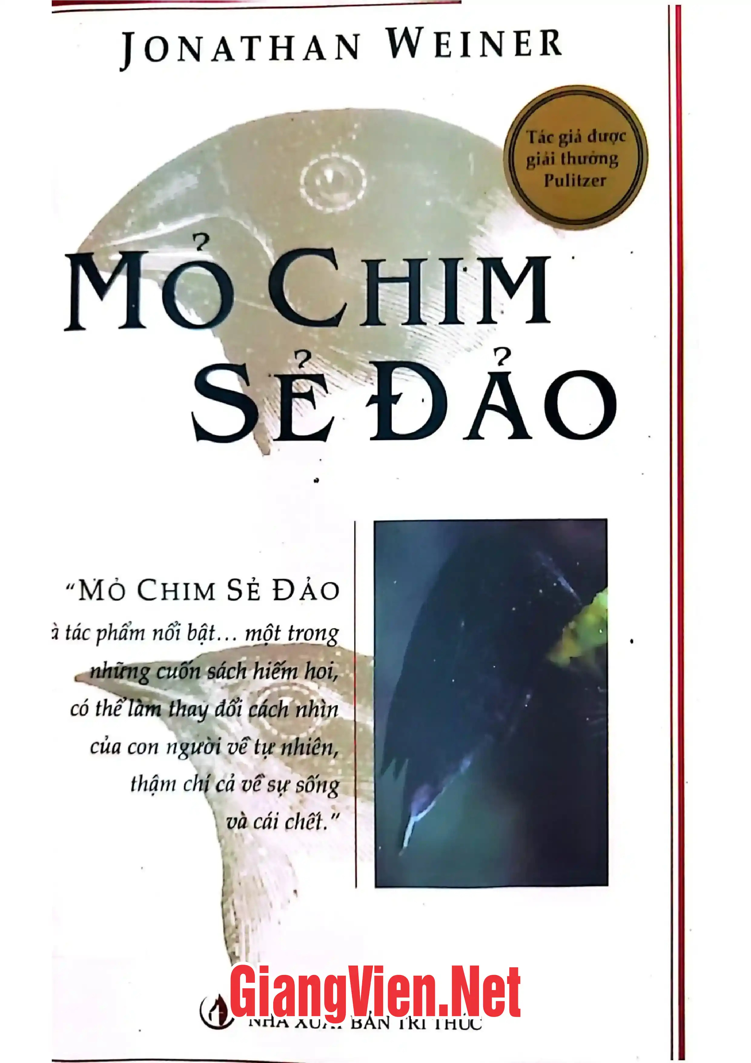 Ảnh bìa của Mỏ chim sẻ đảo, Câu chuyện tiến hóa trong thời đại chúng ta