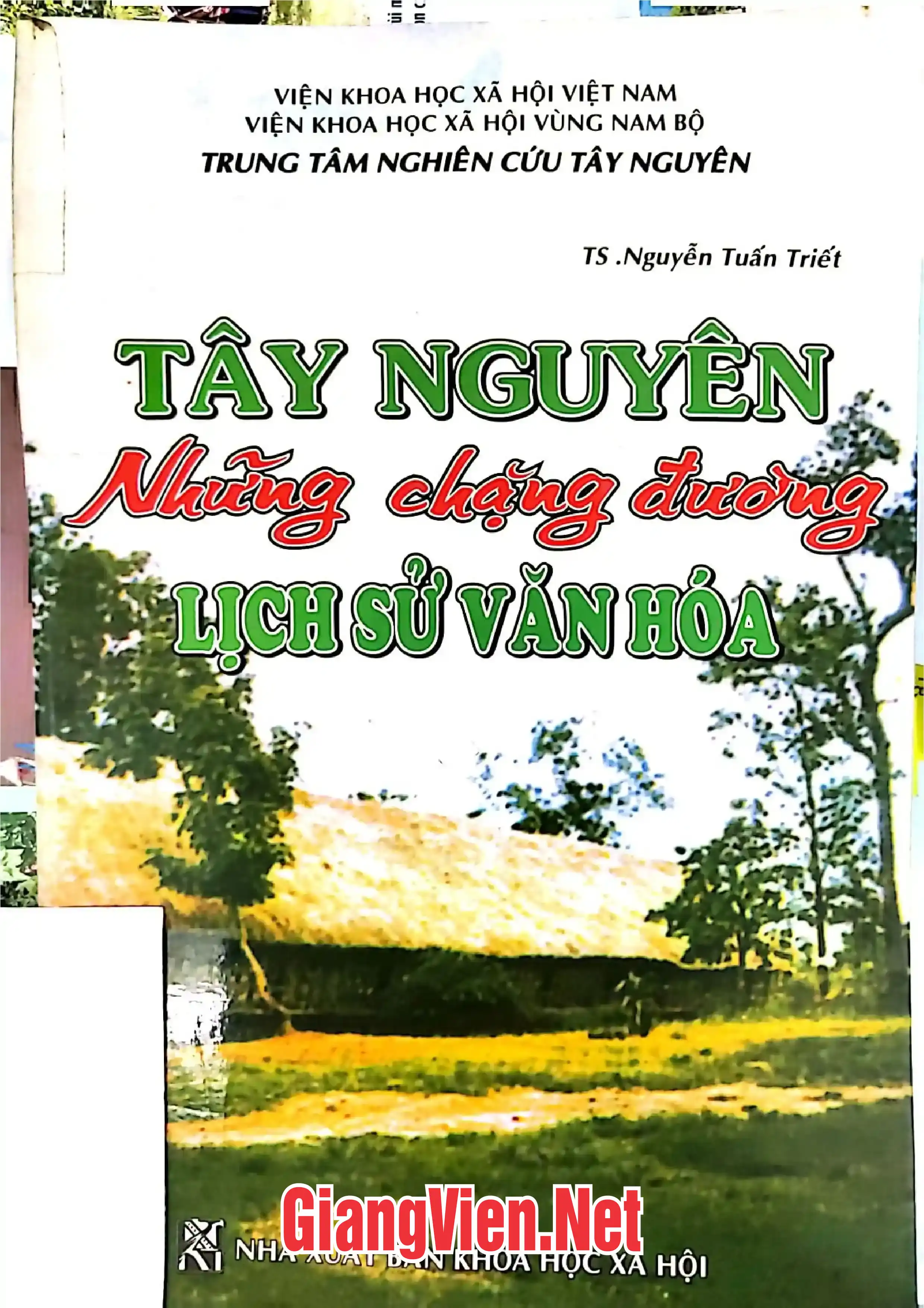 Ảnh bìa của Tây Nguyênnhững chặng đường lịch sử văn hóa