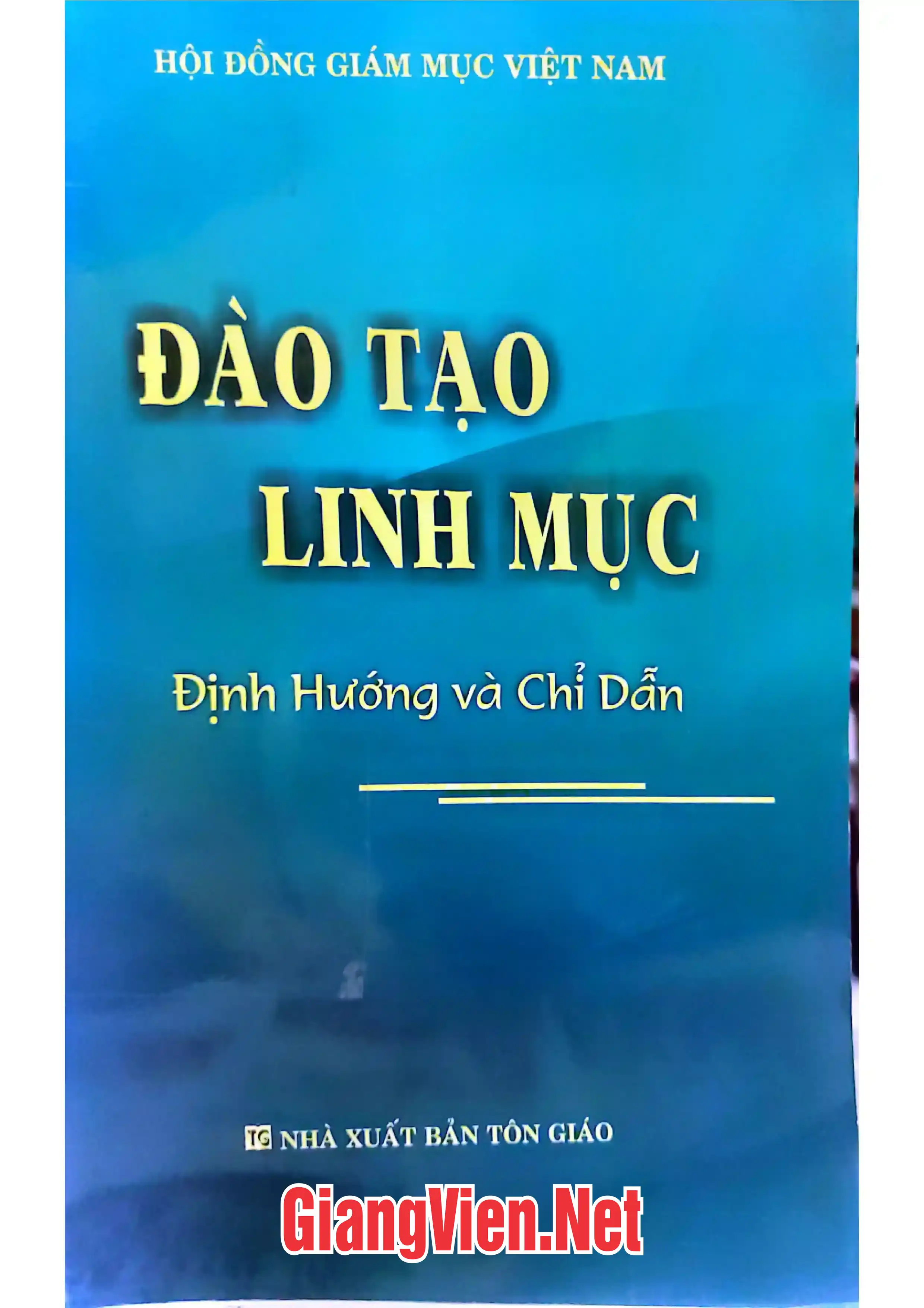 Ảnh bìa của Đào tạo linh mục định hướng và chỉ dẫn