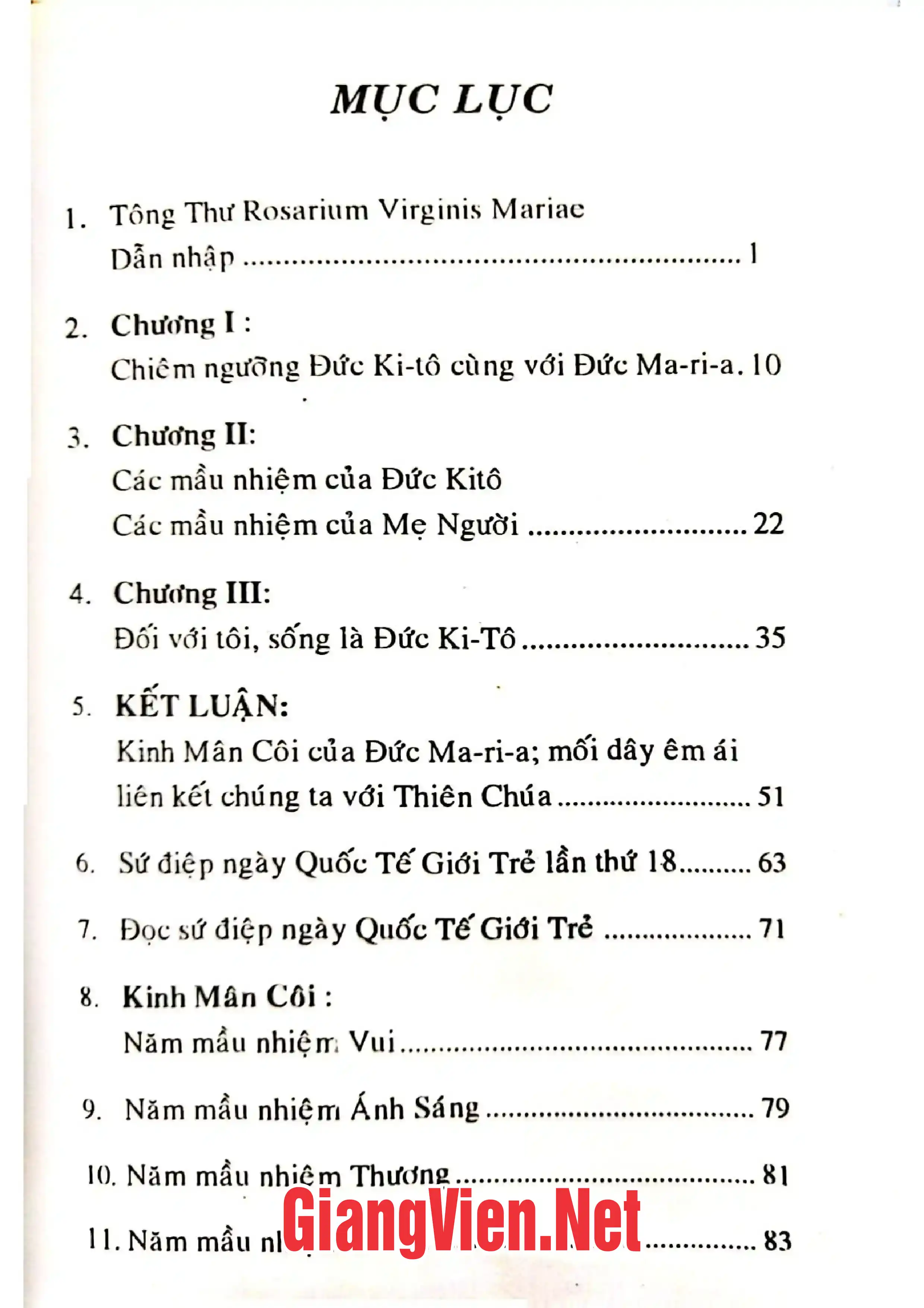 Trang bìa chính thức sách Tông thư Rosarium Virginis Mariae của đức thánh cha gởi các tín hữu