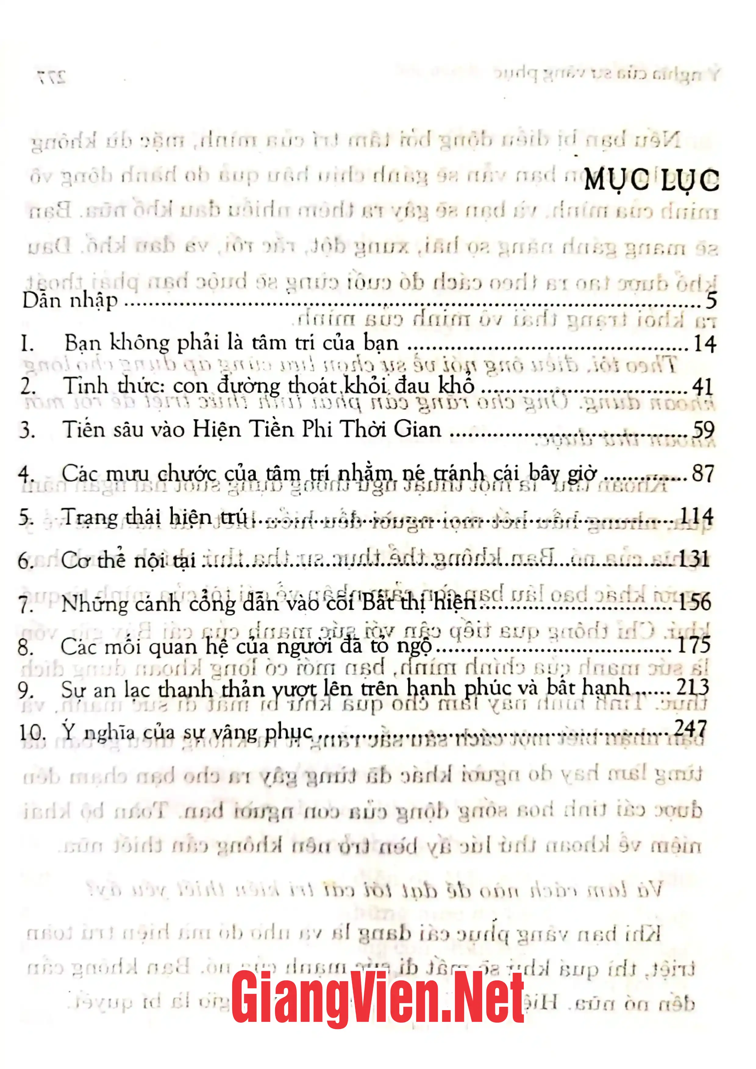 Trang bìa chính thức sách Thiền đối diện với cuộc đời sức mạnh của hiện tiền phi thời gian