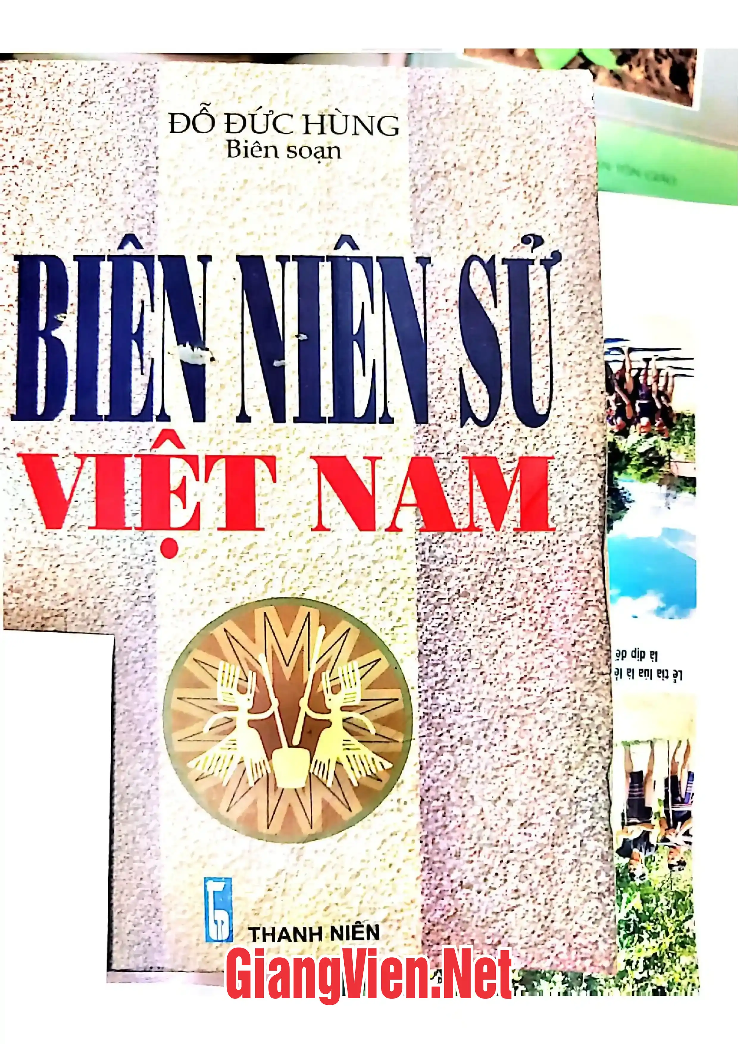 Ảnh bìa của Biên niên sử Việt Nam