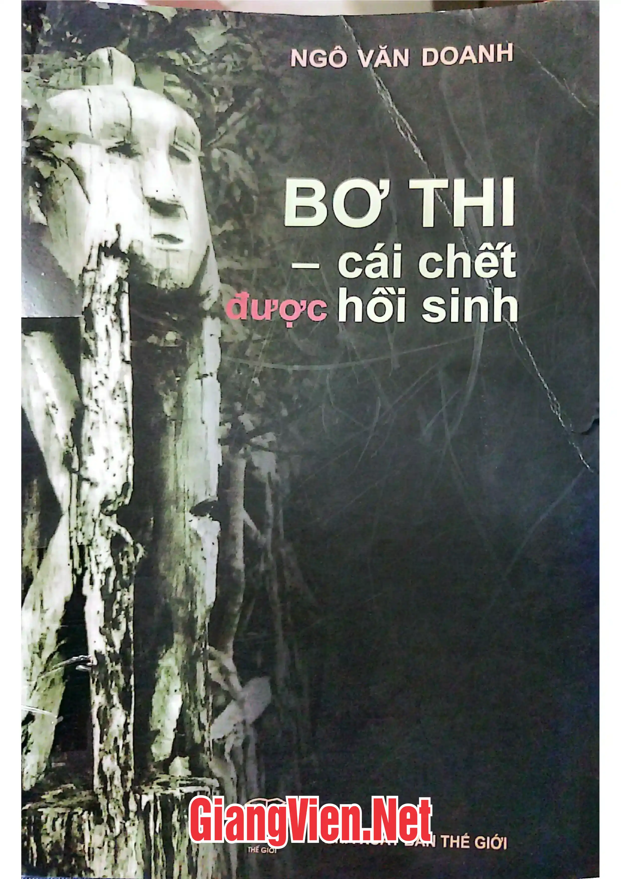Ảnh bìa của Bơthi cái chết được hồi sinh Lễ bỏ mả  nhà mồ Bắc Tây Nguyên