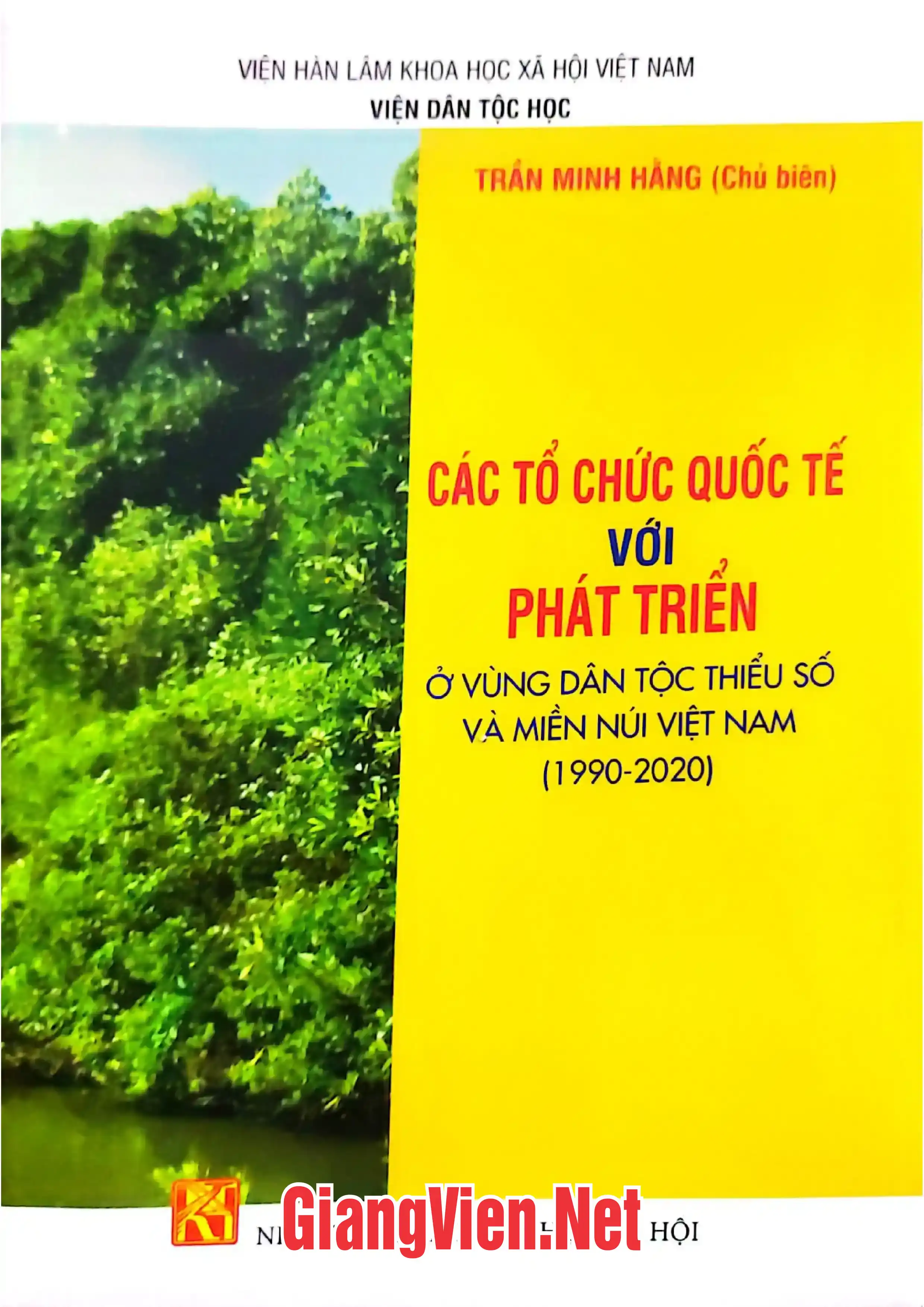 Ảnh bìa của Các tổ chức với phát triển ở vùng dân tộc thiểu số và miền núi Việt Nam 1990 - 2020