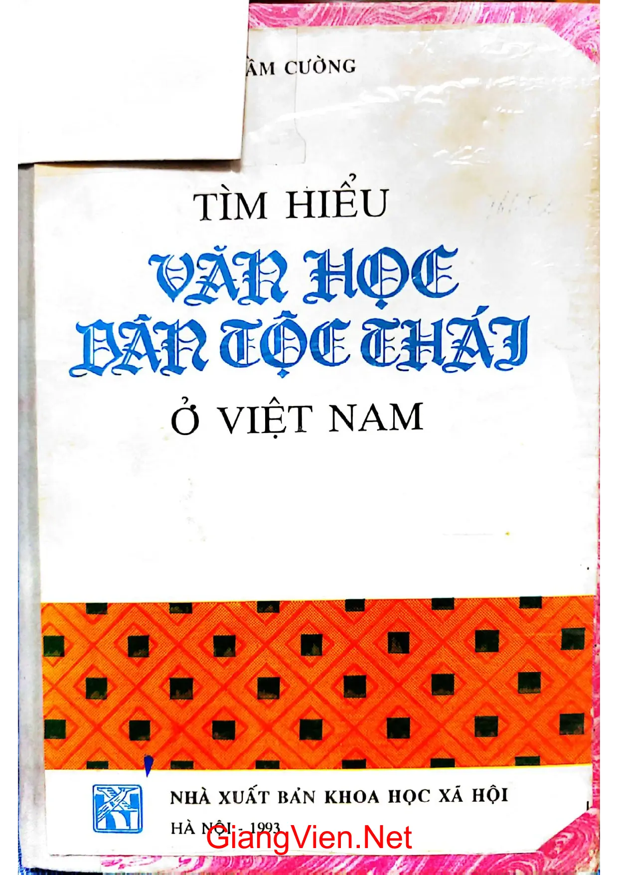 Ảnh bìa của Tìm hiểu văn học dân tộc Thái ở Việt Nam