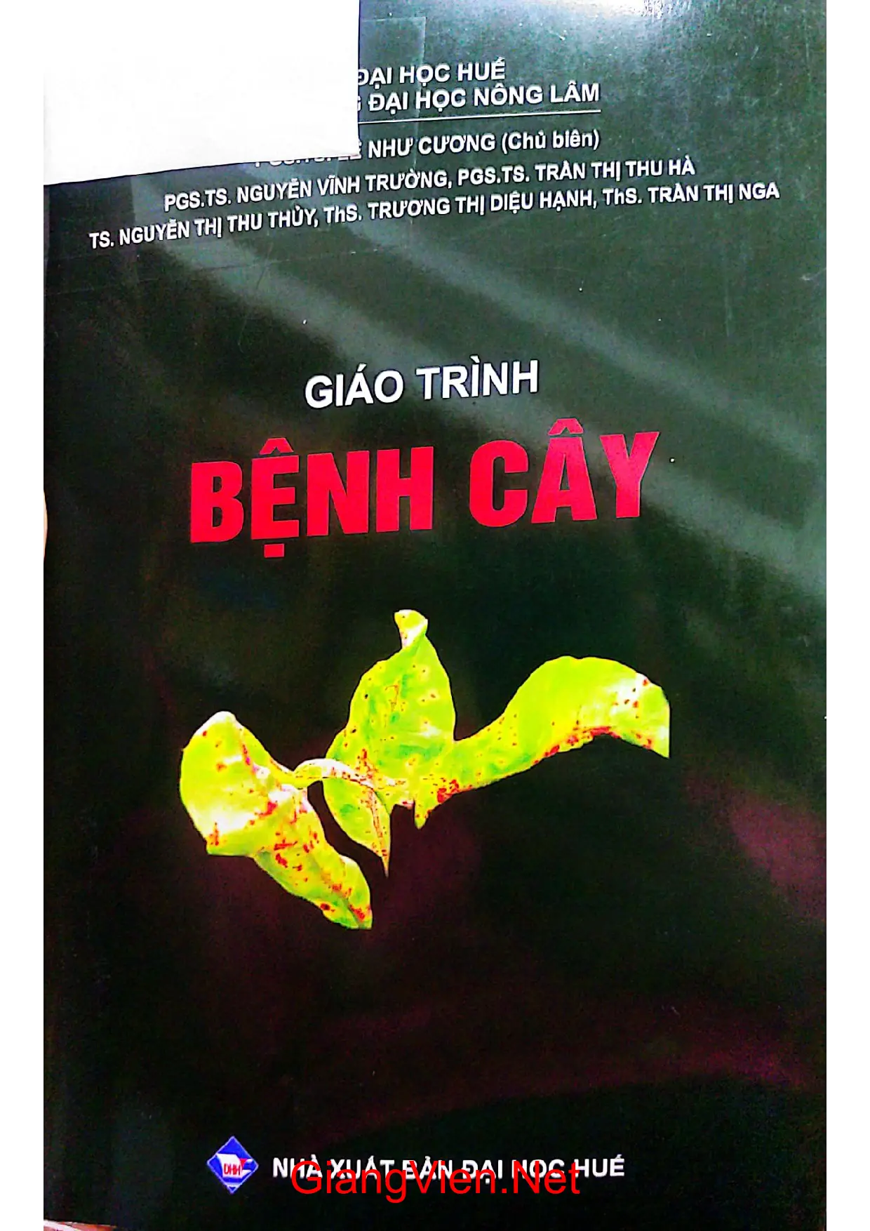 Ảnh bìa của Giáo trình bệnh cây