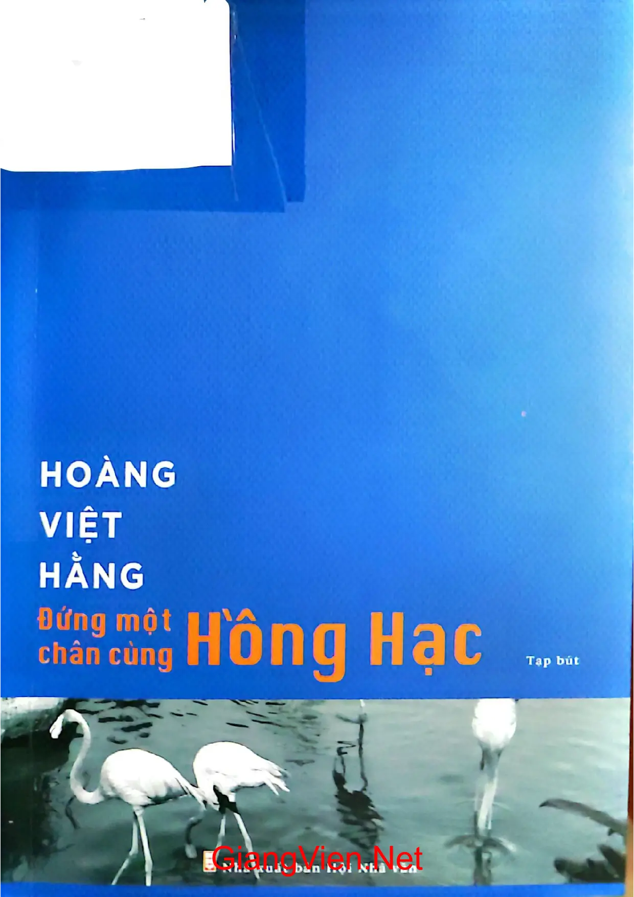 Ảnh bìa của Đứng một chân cùng hồng hạc