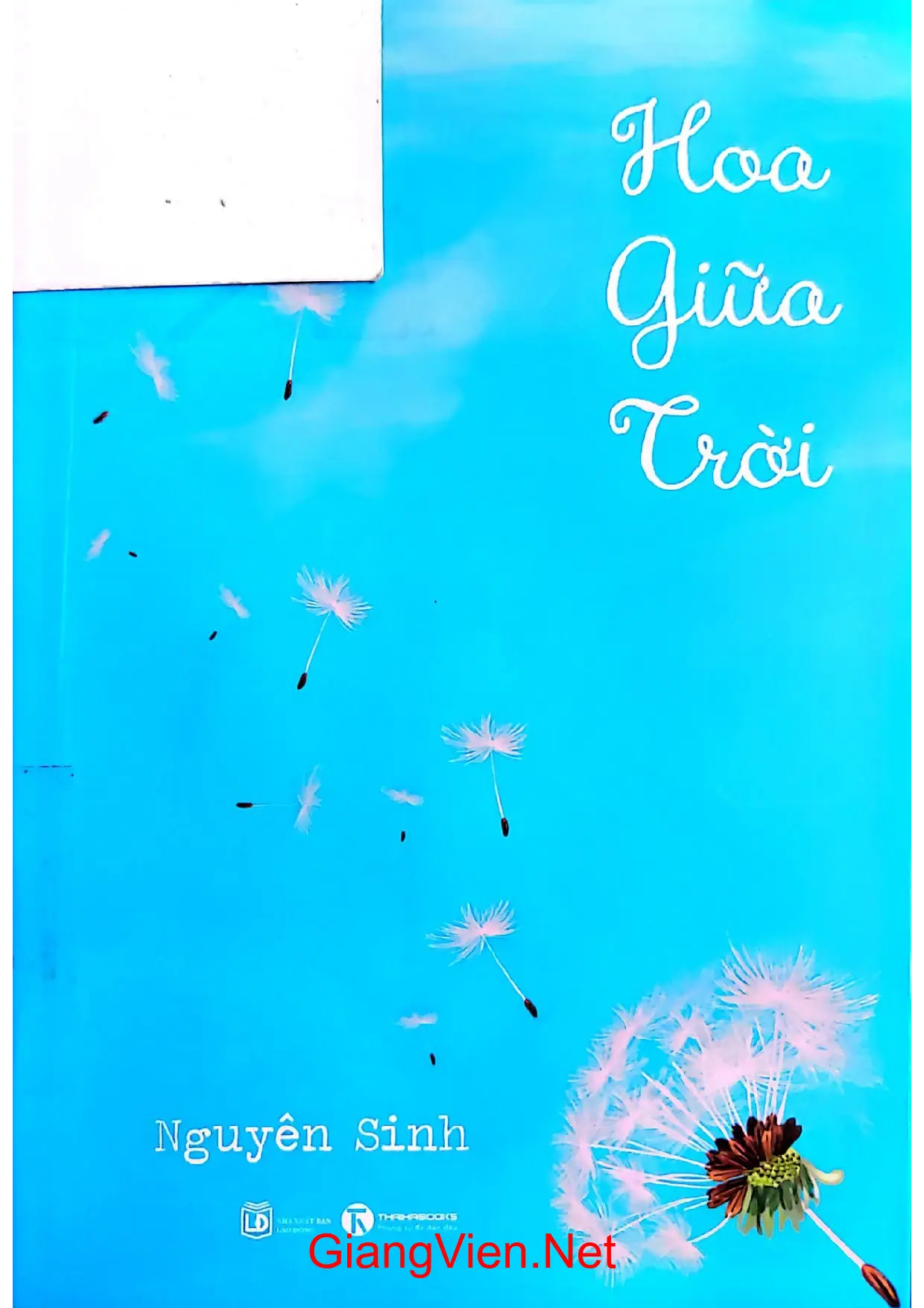 Ảnh bìa của Hoa giữa trời