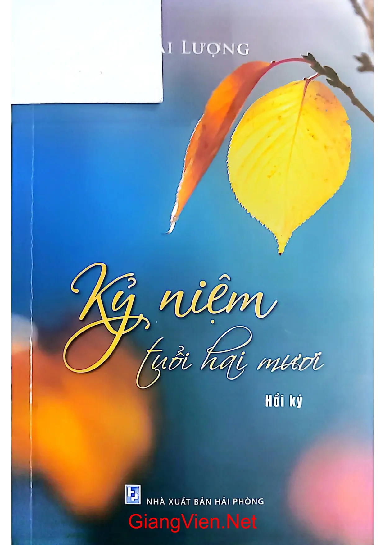 Ảnh bìa của Kỷ niệm tuổi 20