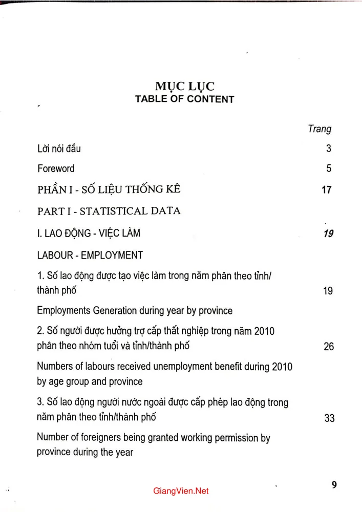 Trang bìa chính thức sách Niên giám thống kê lao động người có công và xã hội 5 năm (2006 - 2010)