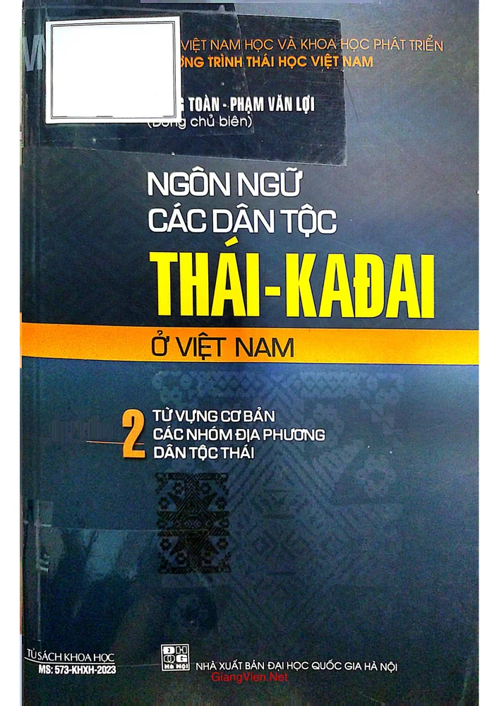 Ảnh bìa của Ngôn ngữ các dân tộc Thái Kadai ở Việt Nam tập 2